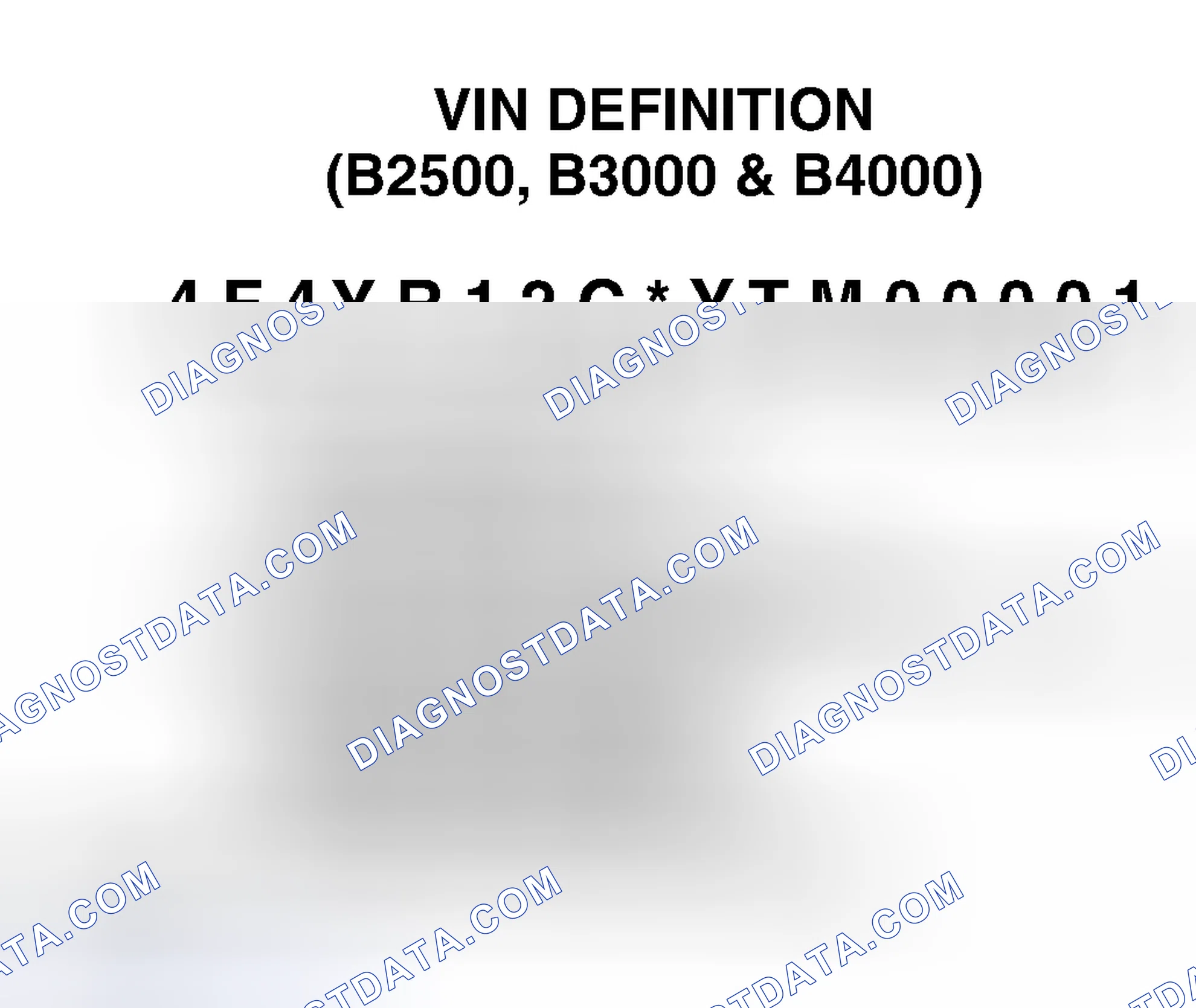 Scheme 2: VIN Definition (B2500, B3000 & B4000)