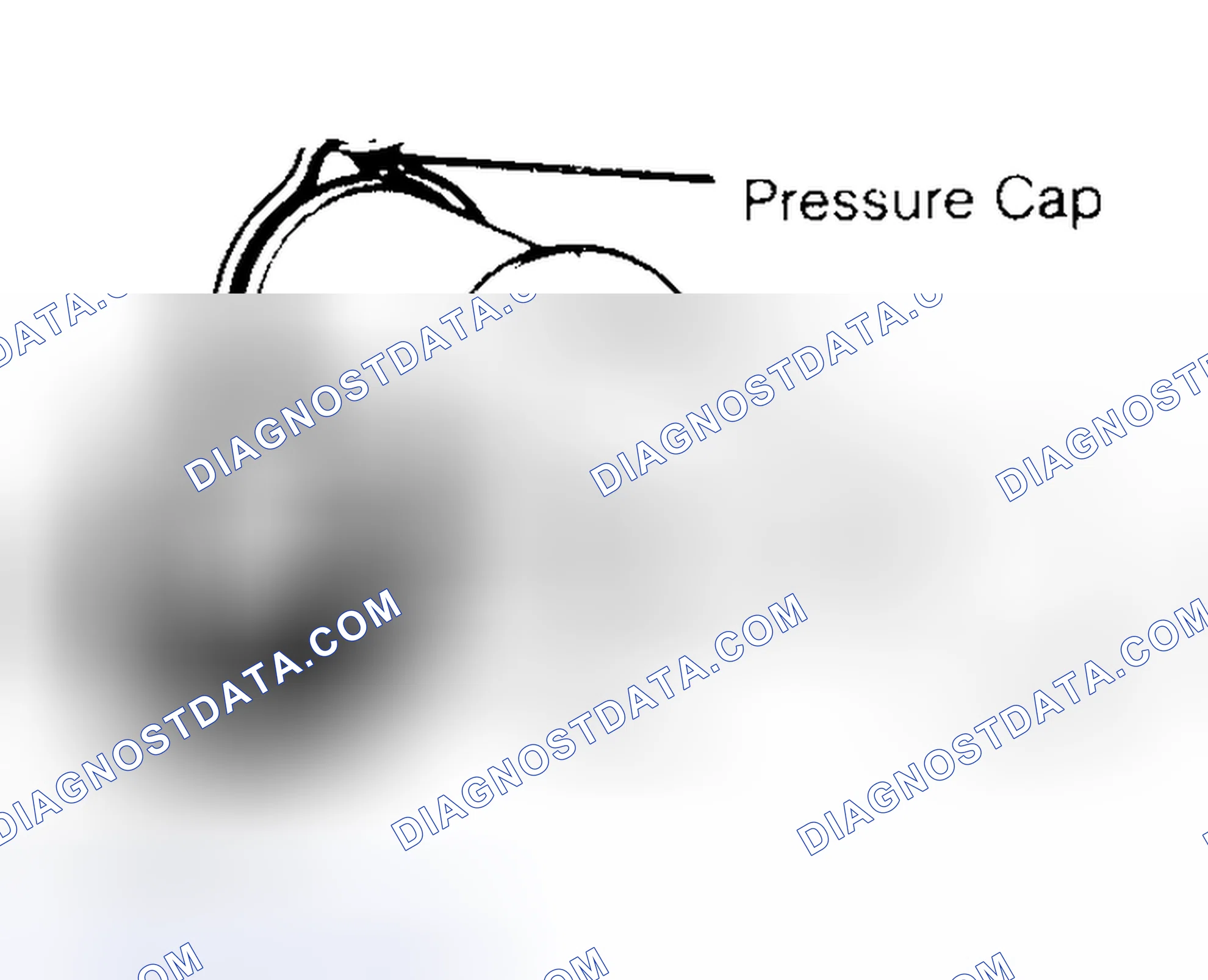 Scheme 2: Pressure Testing Radiator Cap