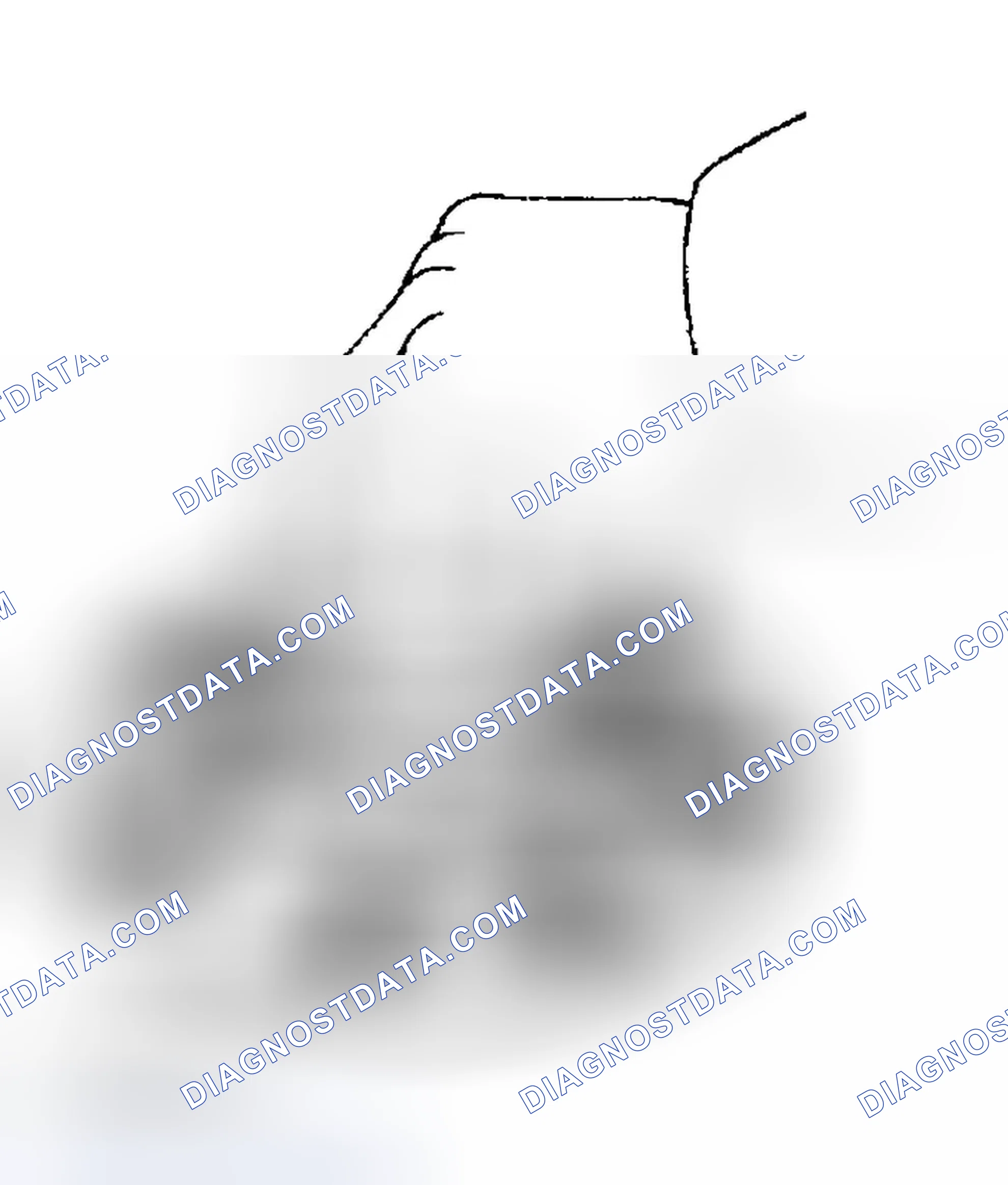 Scheme 51: INSPECTION PROCEDURE