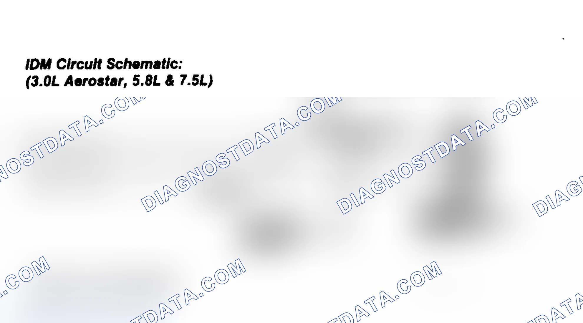 Scheme 30: IDM Circuit Schematic (3.0L Aerostar)