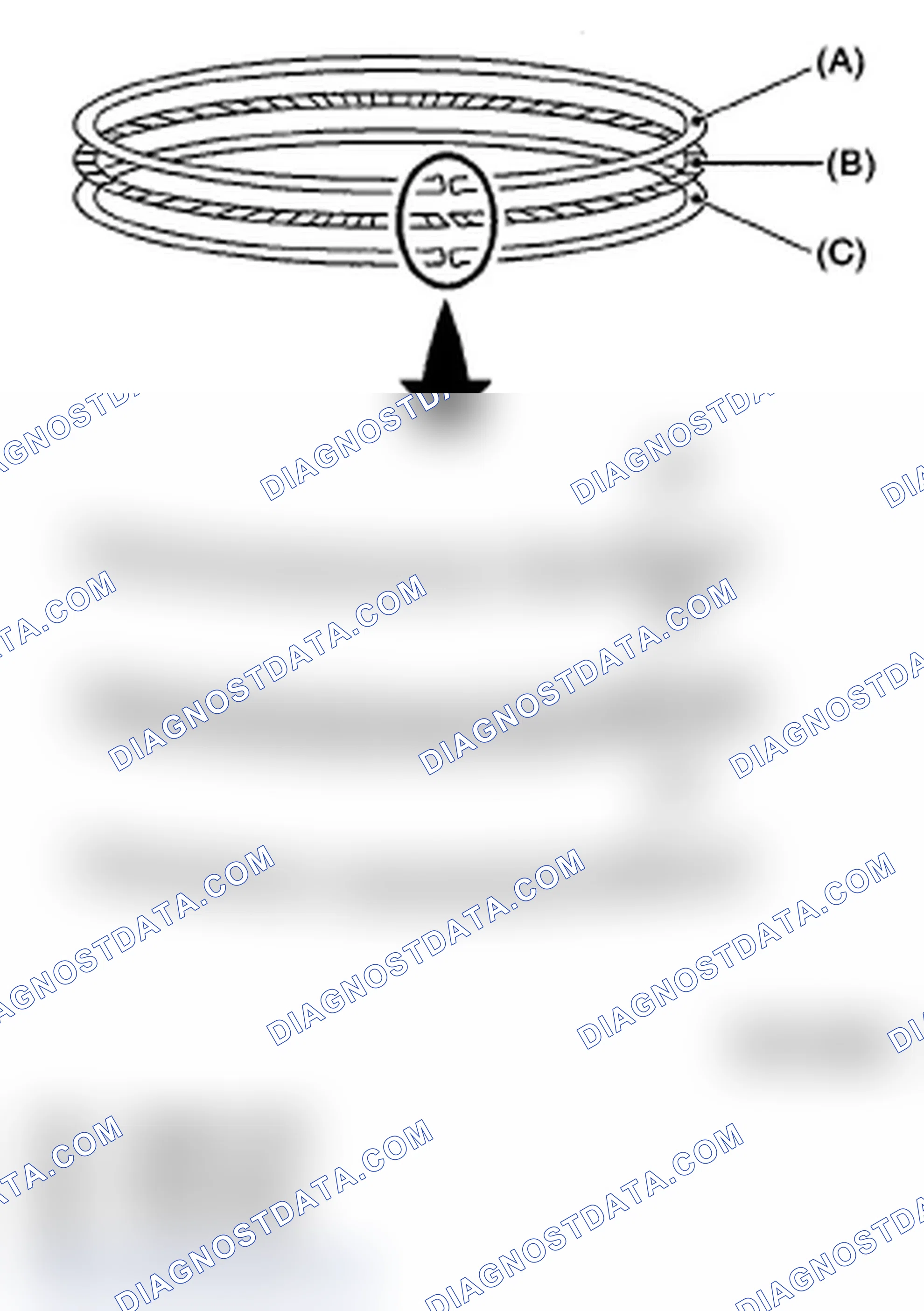 Scheme 280: PISTON RING