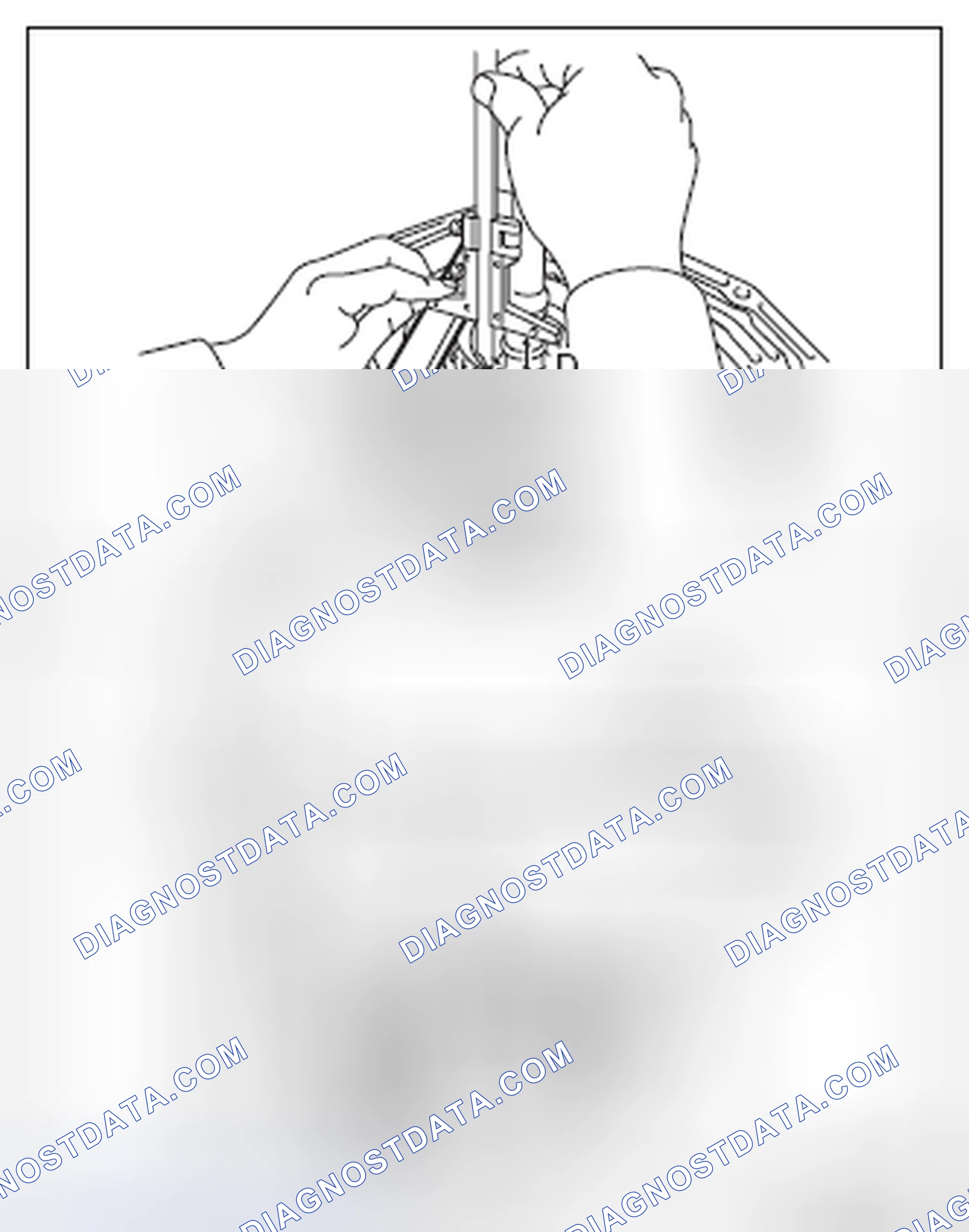 Scheme 244