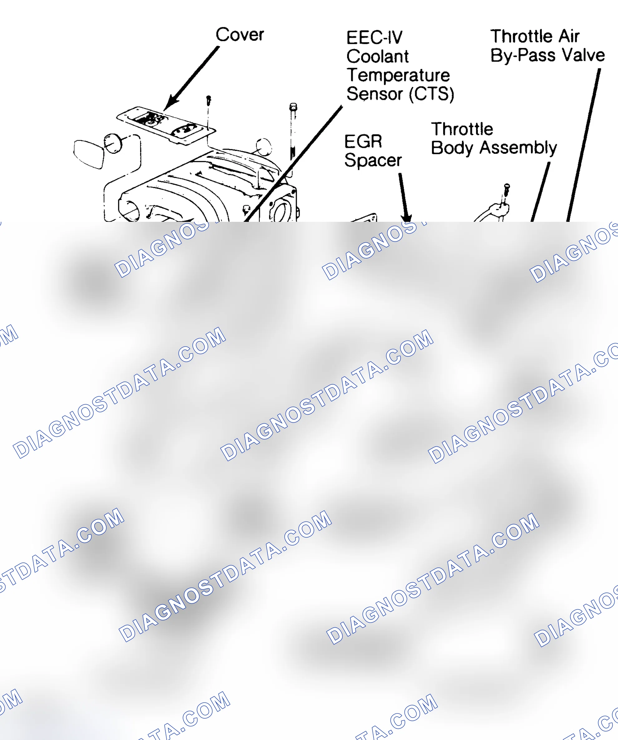 Scheme 8: 5.0L SEFI Multi-Point Injection System
