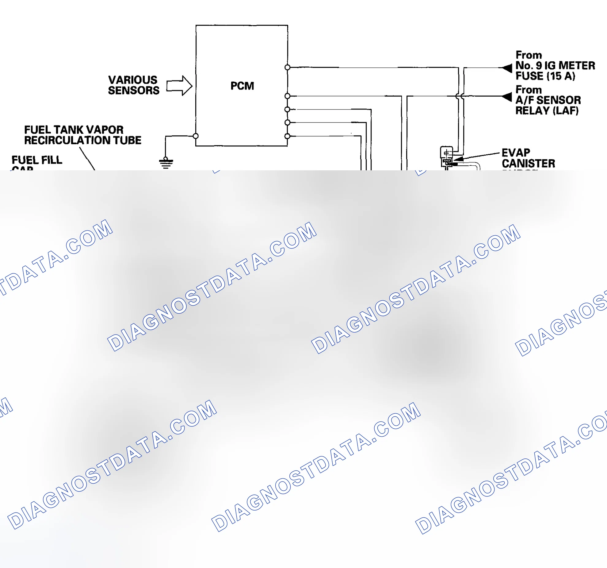 Scheme 59: Evaporative Emission (EVAP) Control Diagram