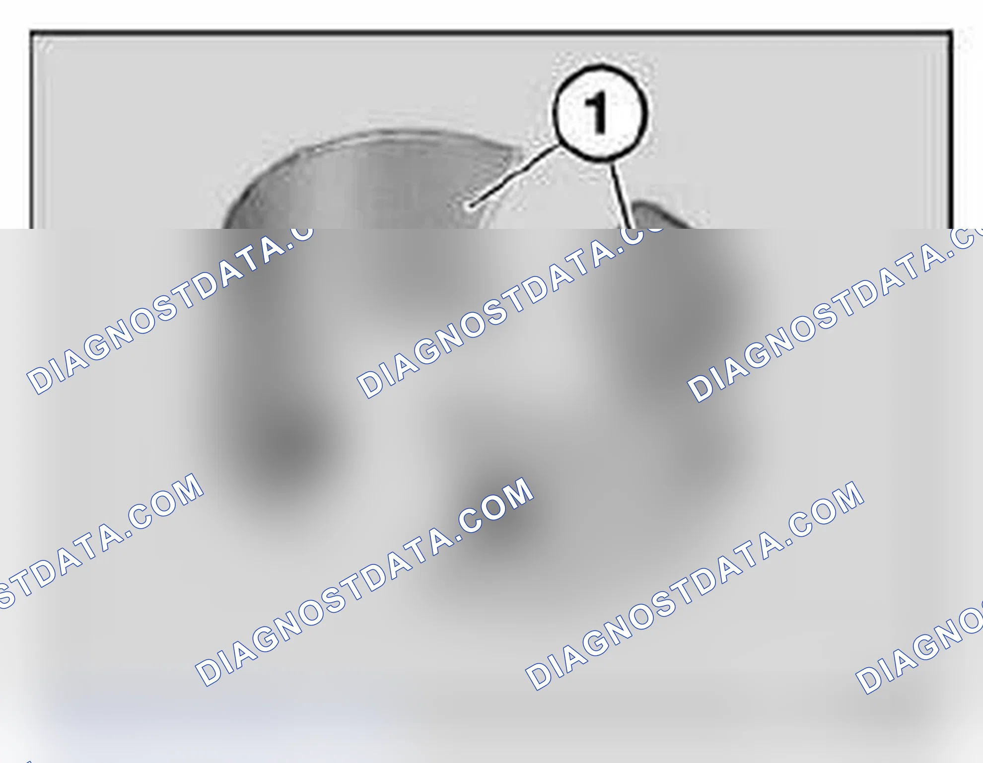 Scheme 696