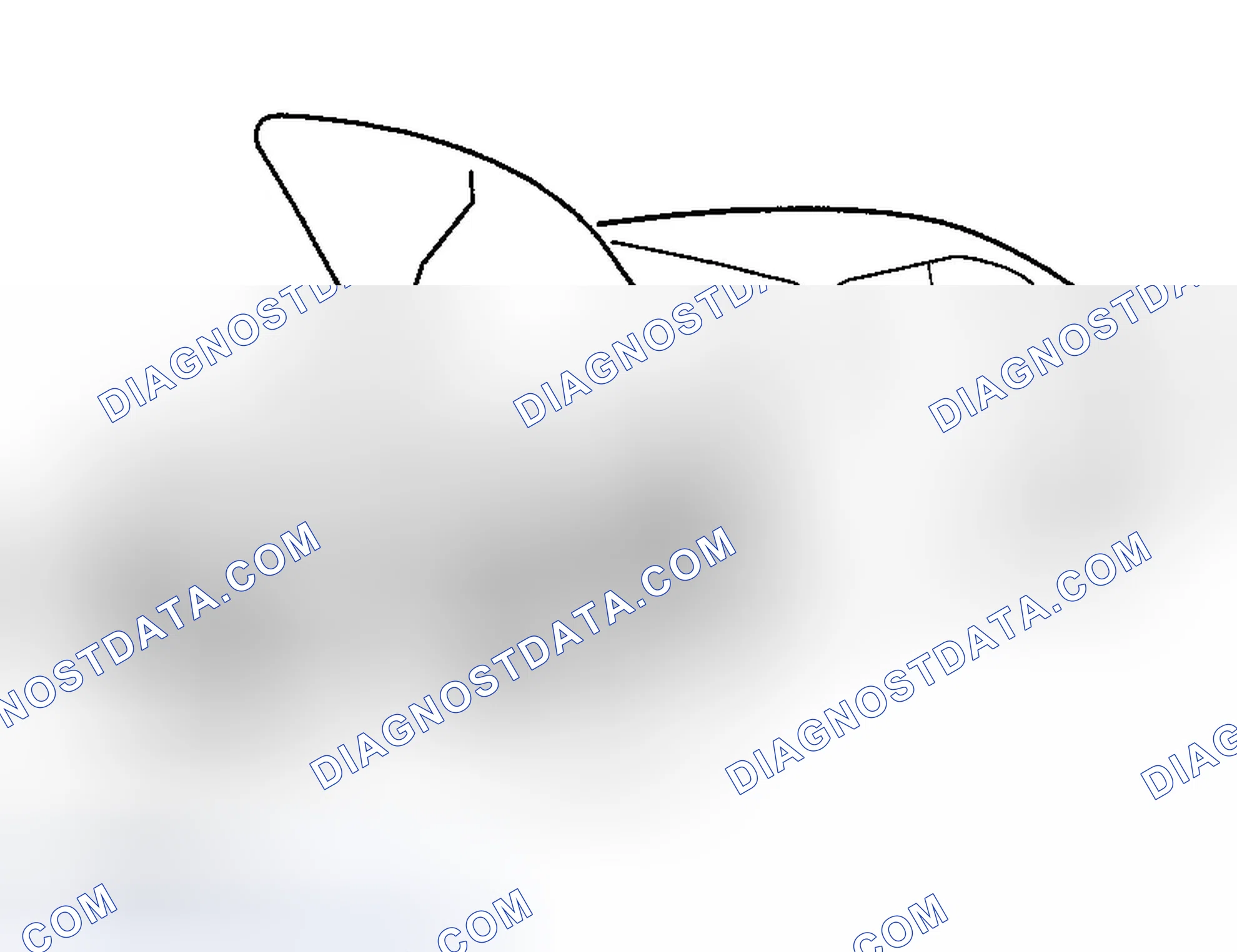 Scheme 15: PROTECTION OF THE VEHICLE