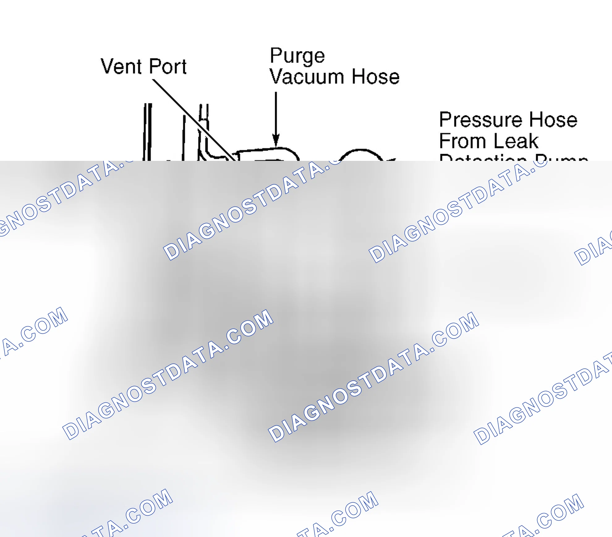 Scheme 142: Locating EVAP Canister & Identifying Hoses