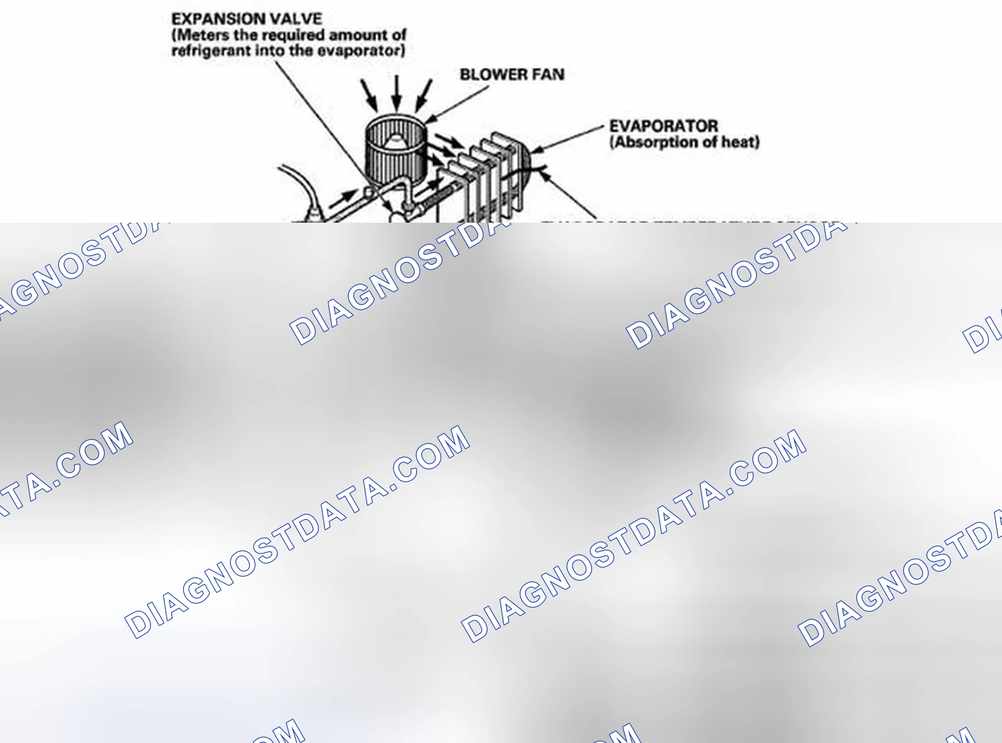 Scheme 5: System Description
