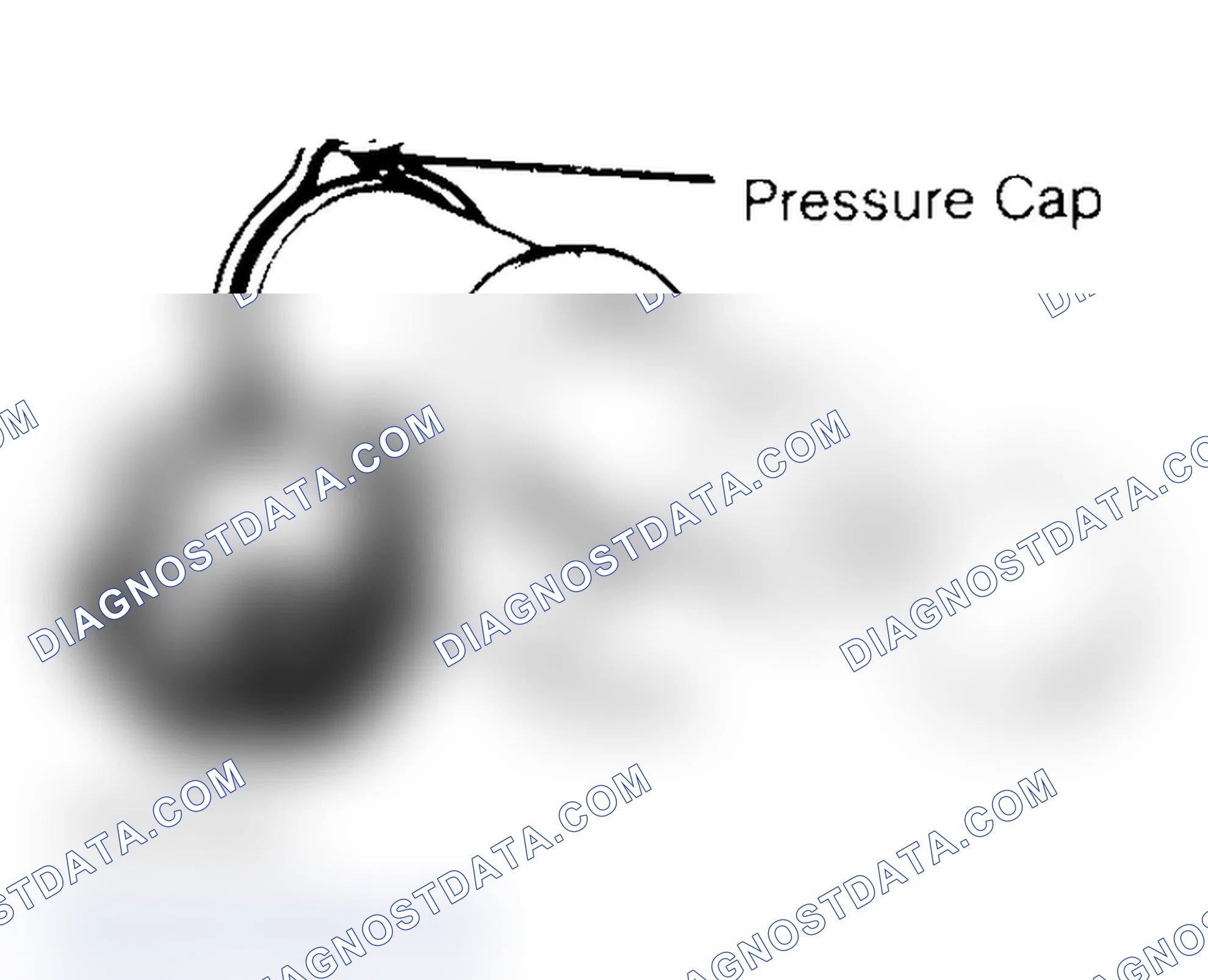 Scheme 2: Pressure Testing Radiator Cap