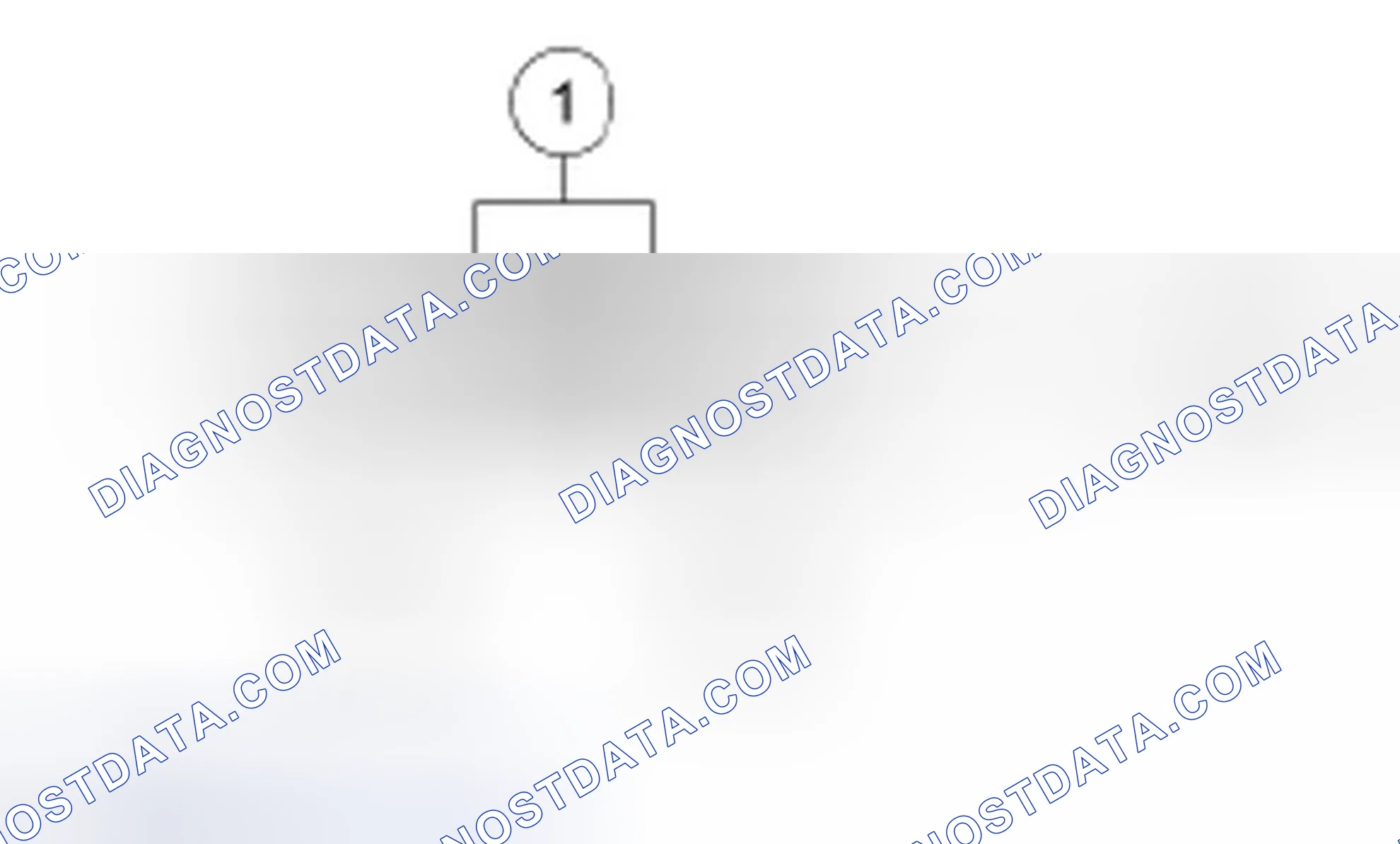 Scheme 53: Transmission Fluid Level Check