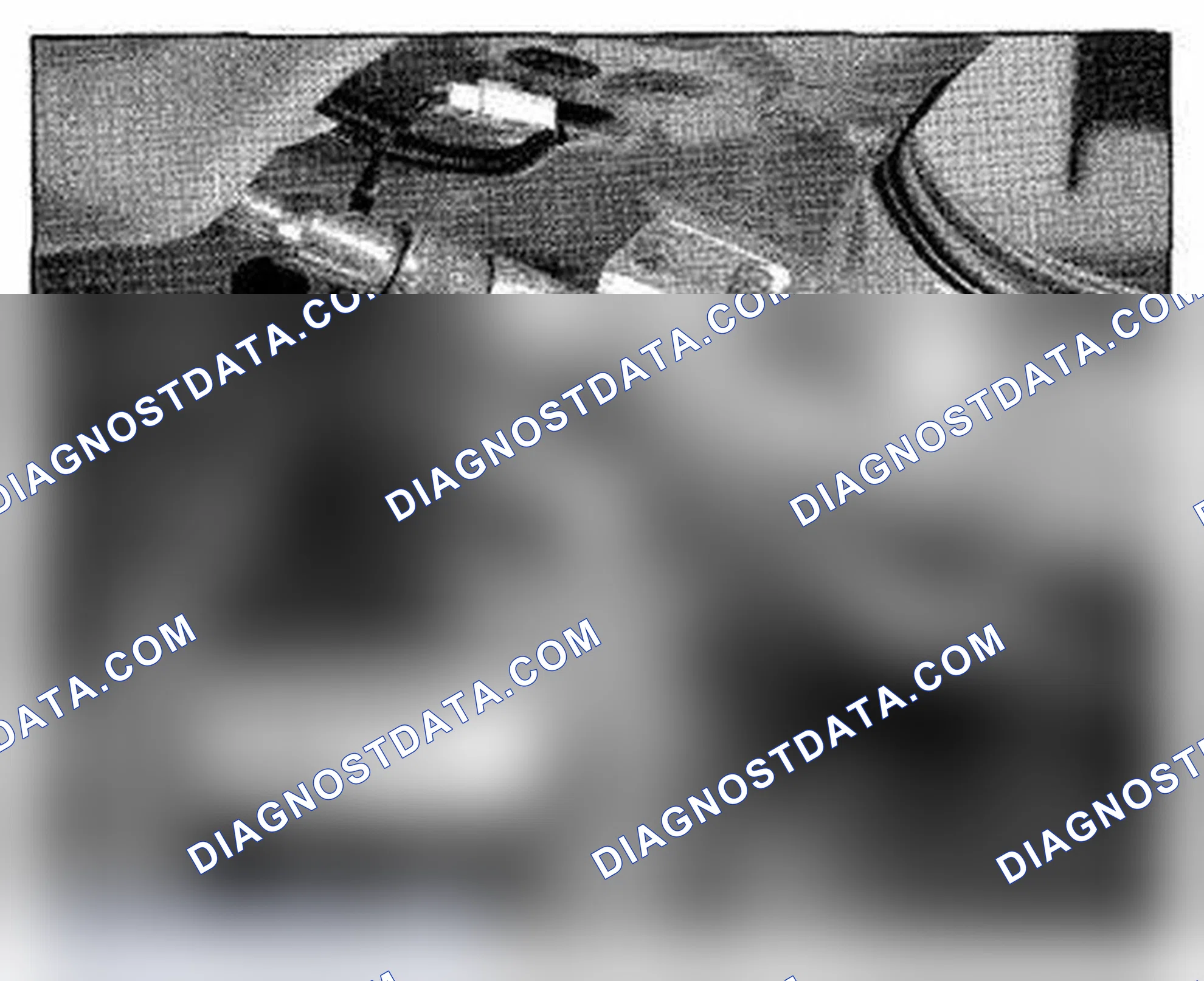 Scheme 593: Right D-pillar Component Location (Photo 188)
