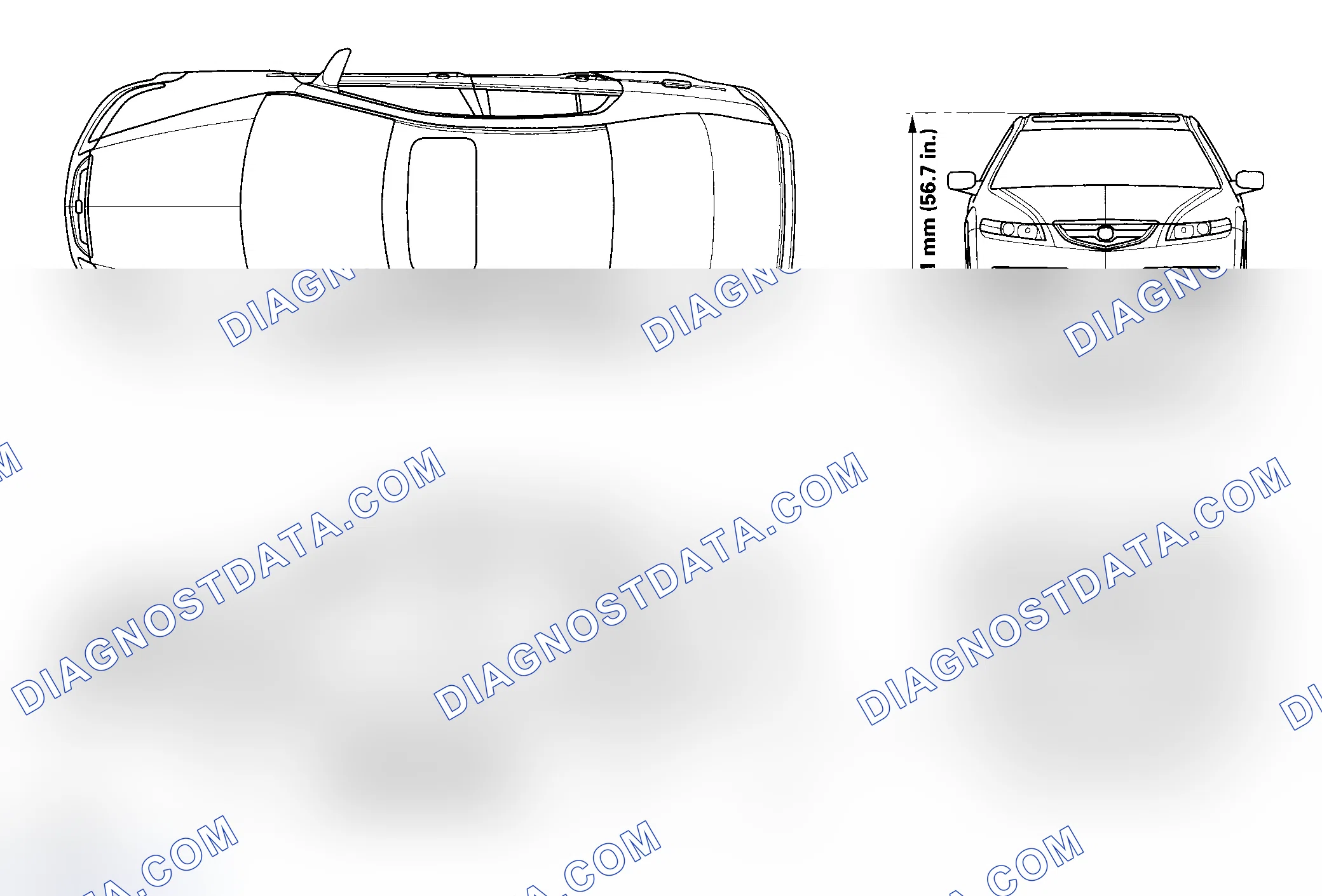 Scheme 2: Body Specifications