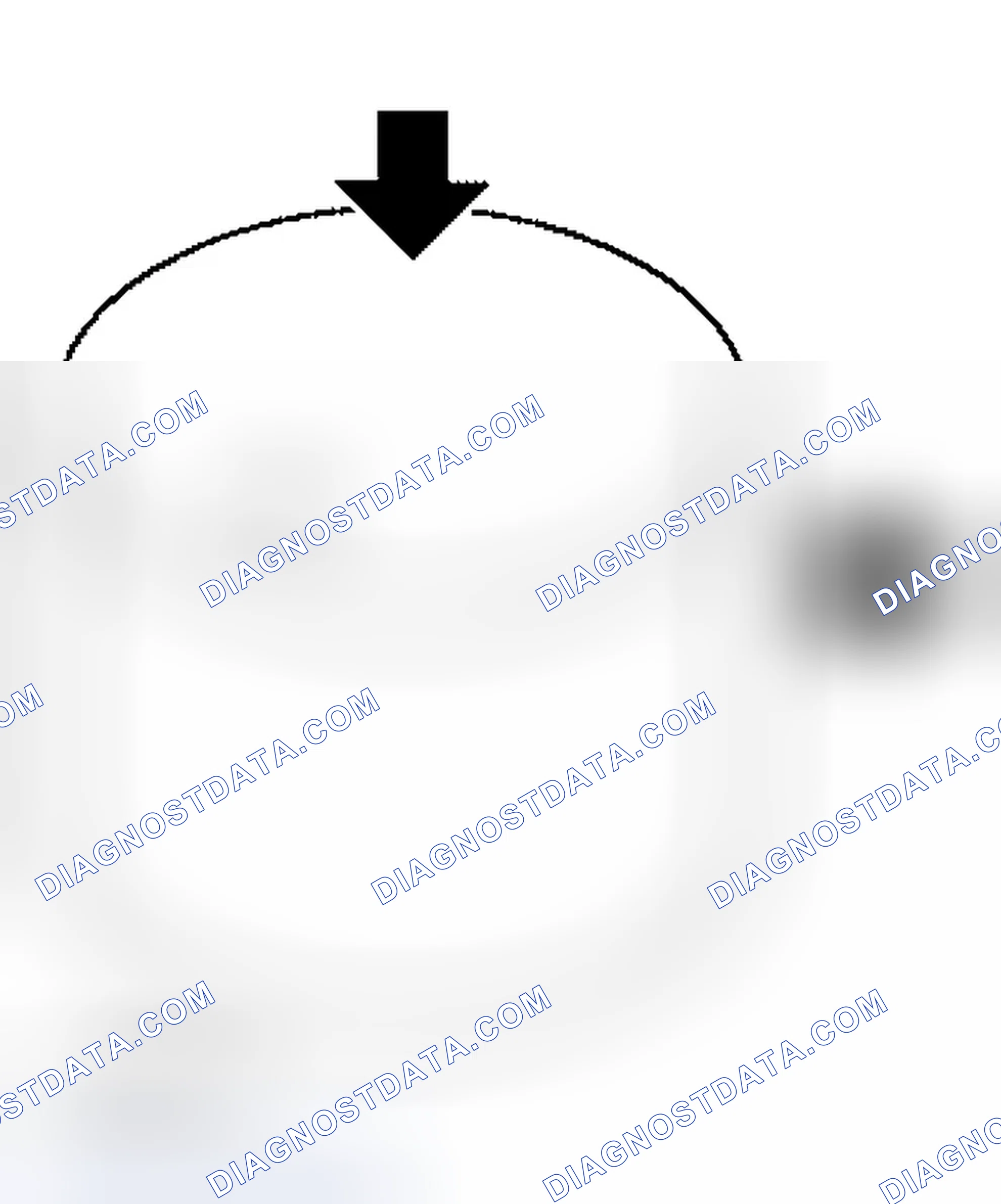 Scheme 183: Valve Lifter