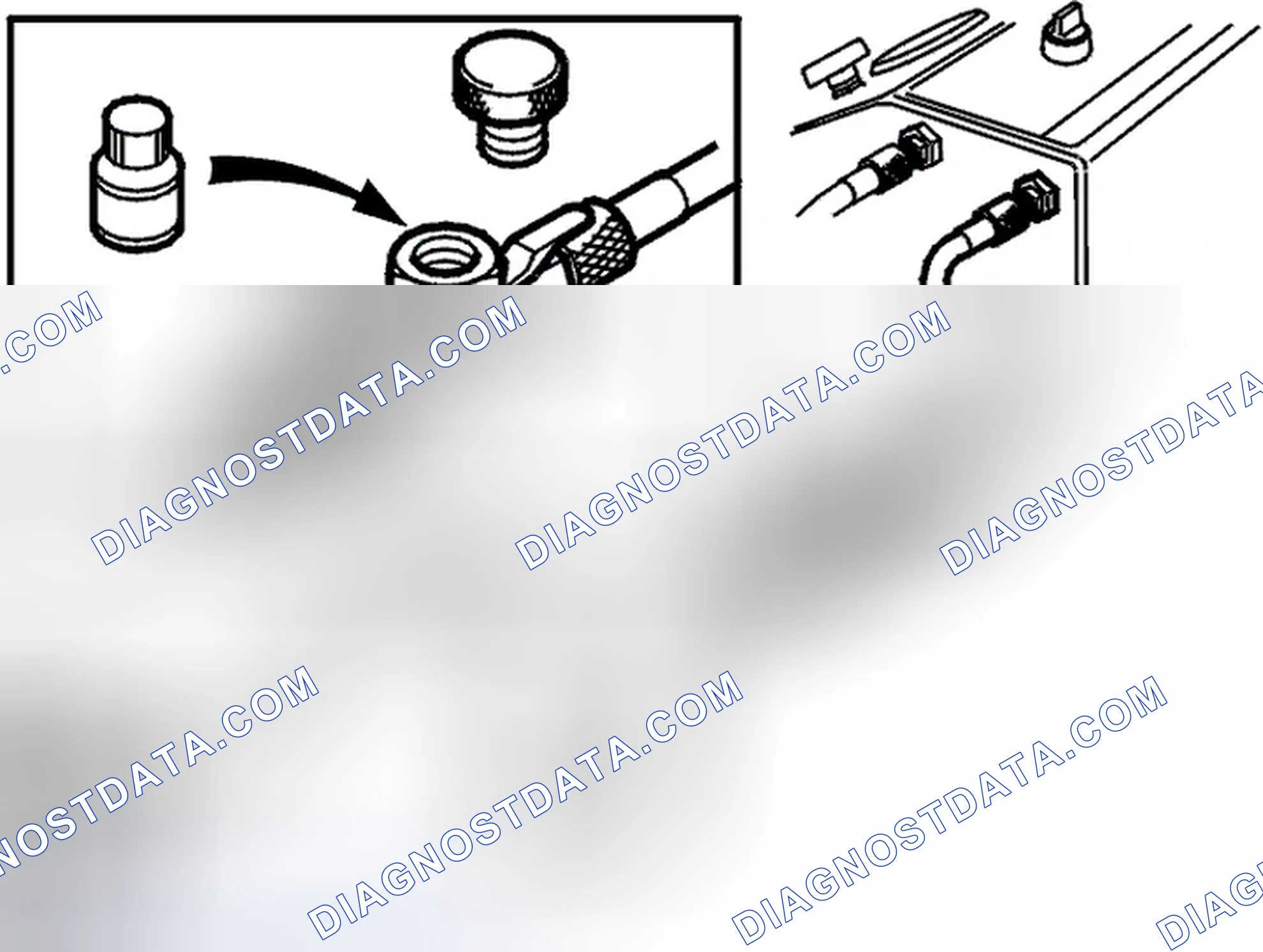 Scheme 225