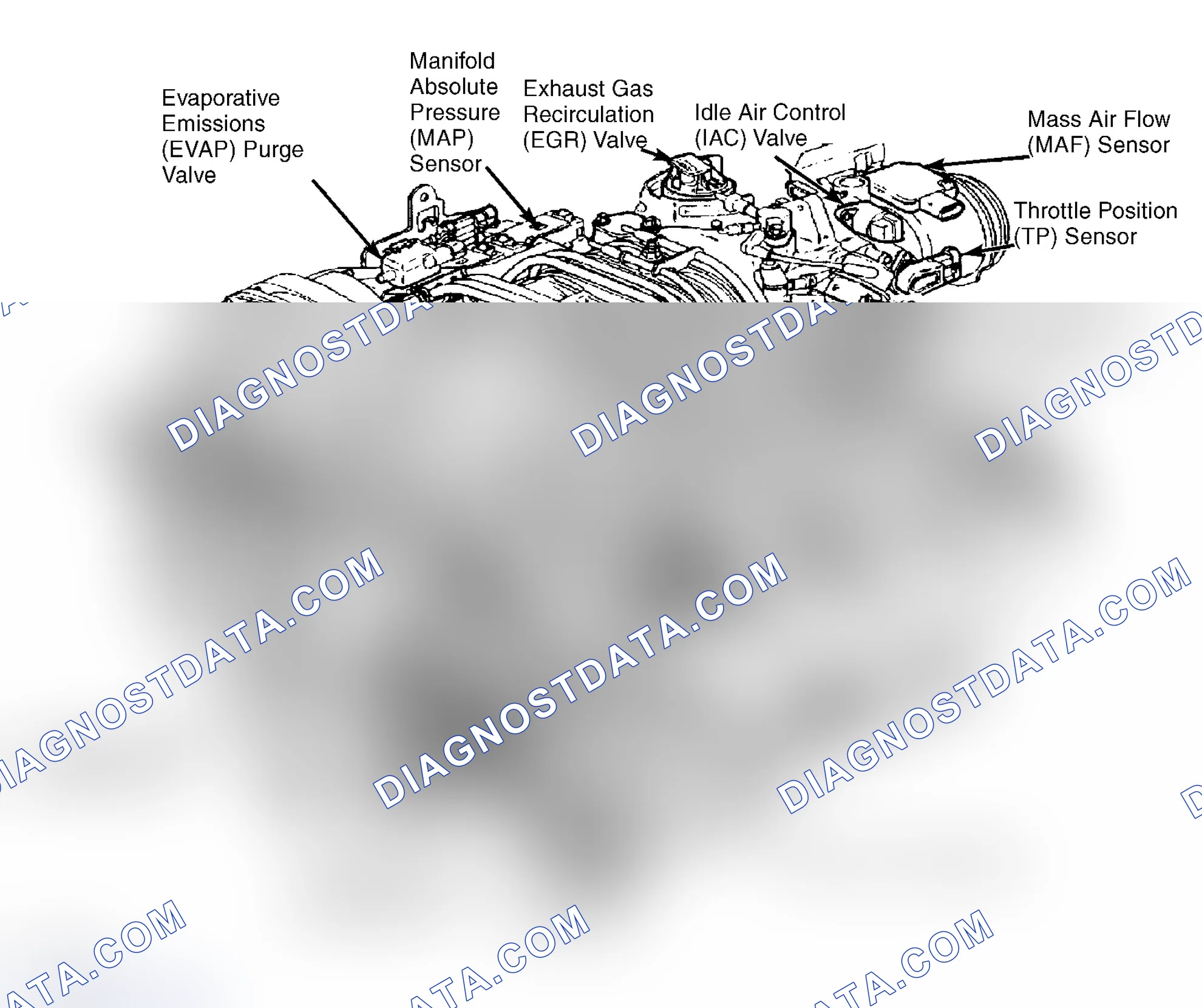 Scheme 2: Engine (3.8L VIN 1)
