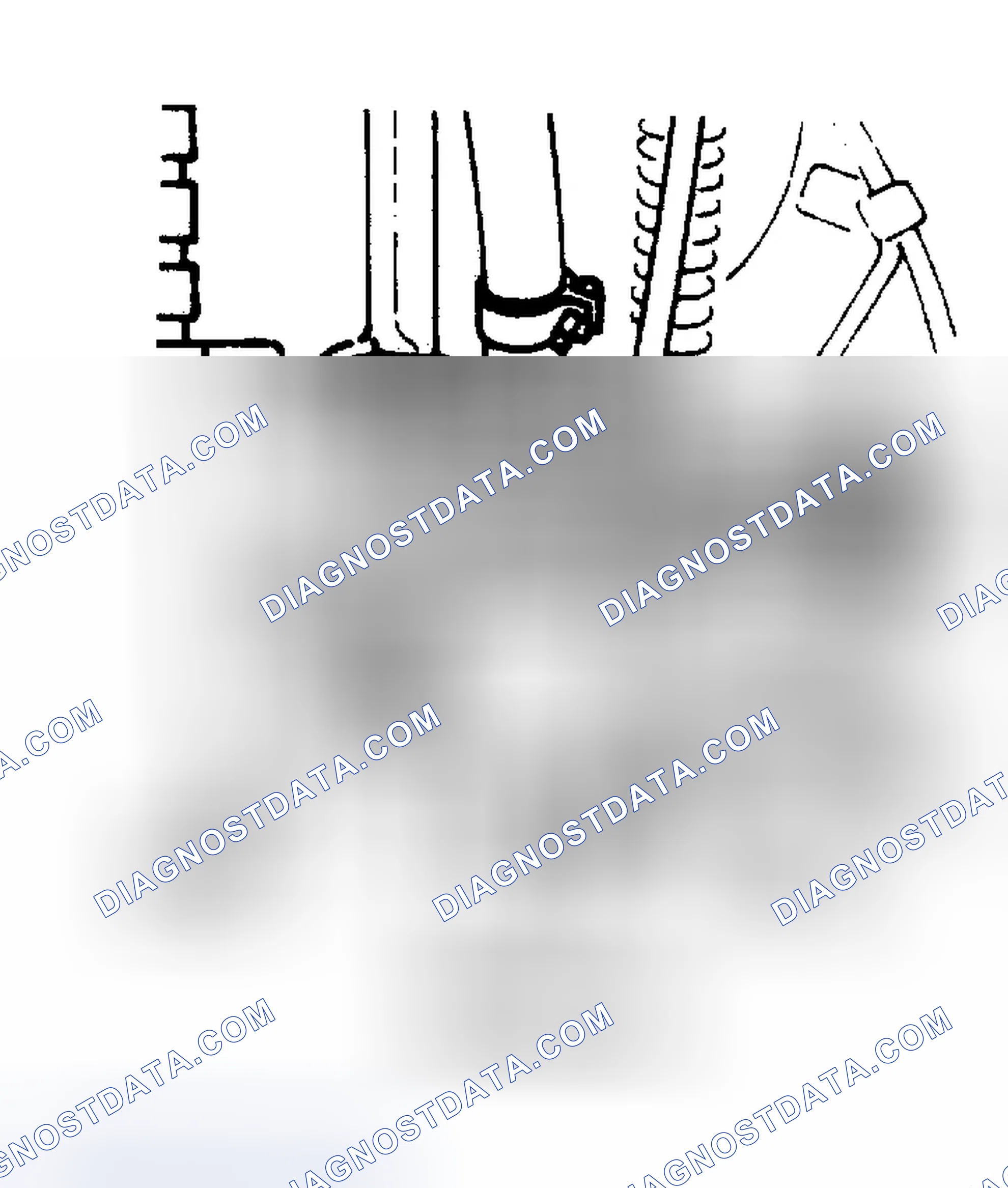 Scheme 1: ENGINE CODE LOCATION
