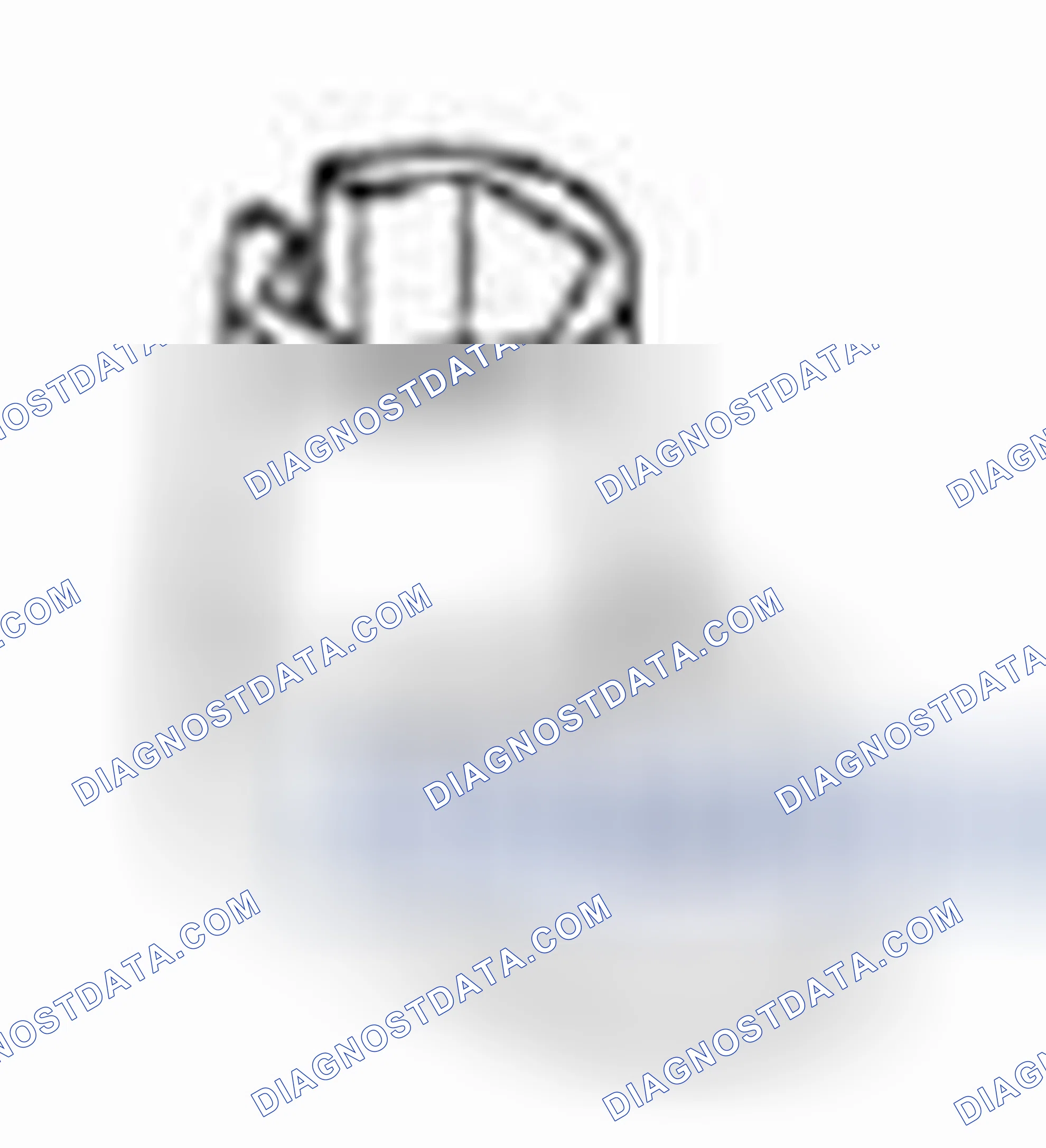 Scheme 58: Heated Oxygen Sensor (HO2S)