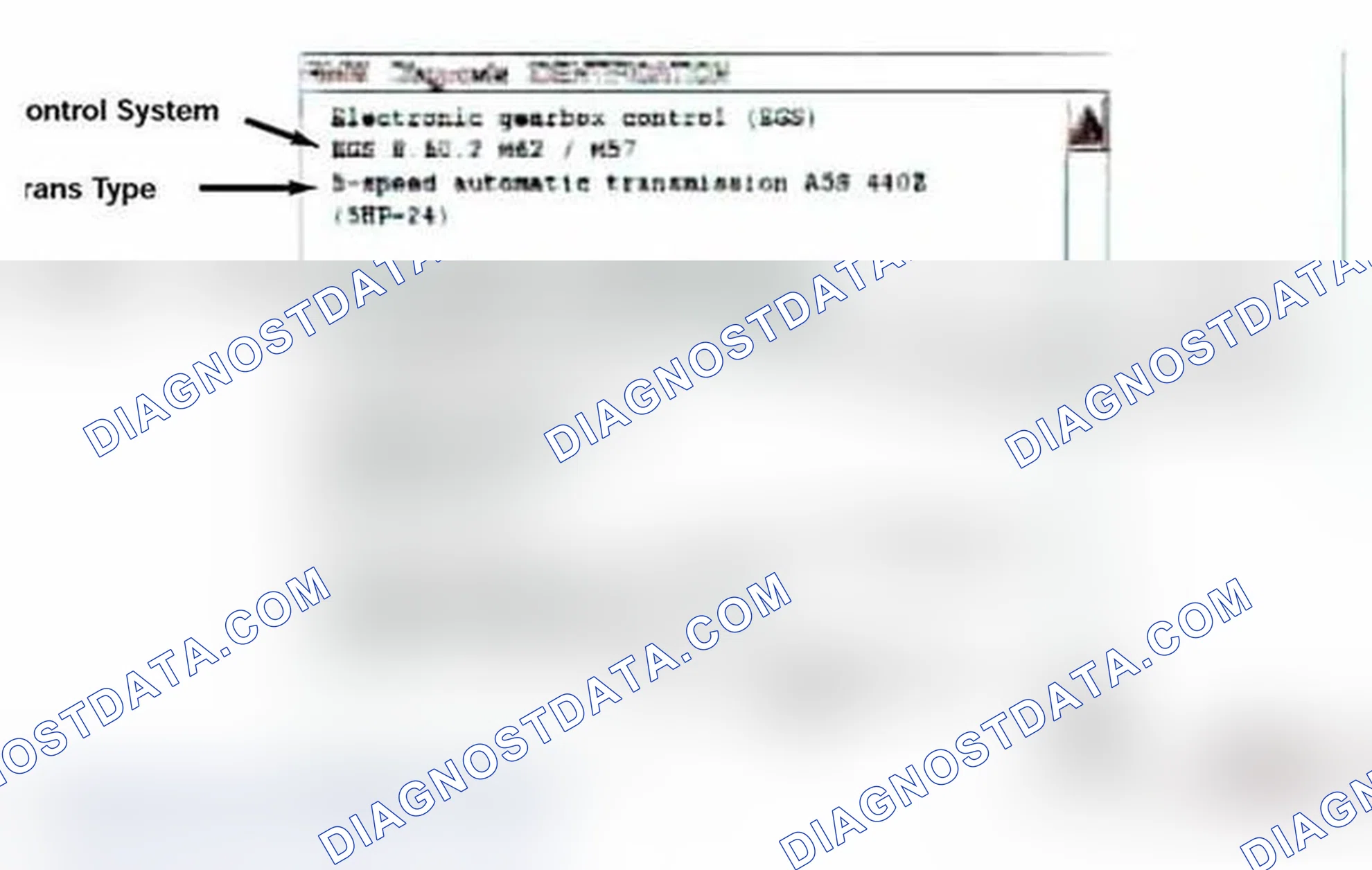 Scheme 453: Identification Page