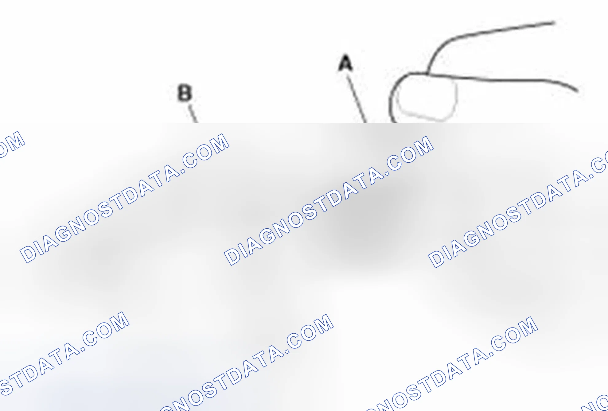 Scheme 8