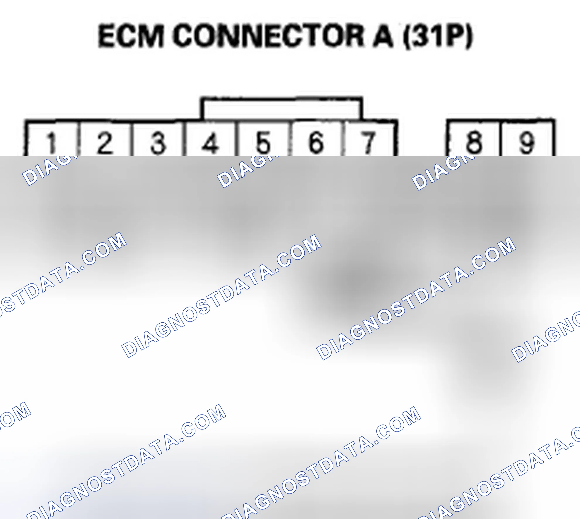 Scheme 373