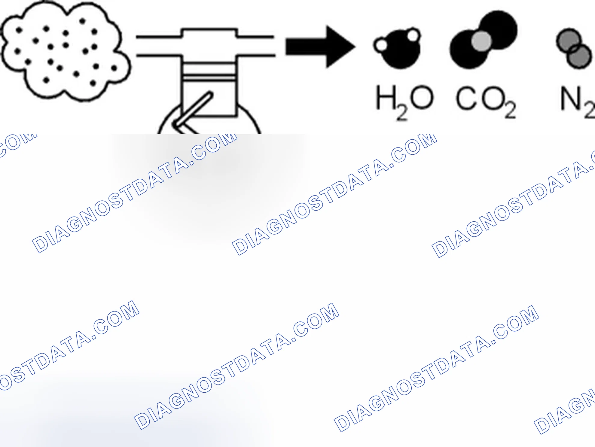 Scheme 203
