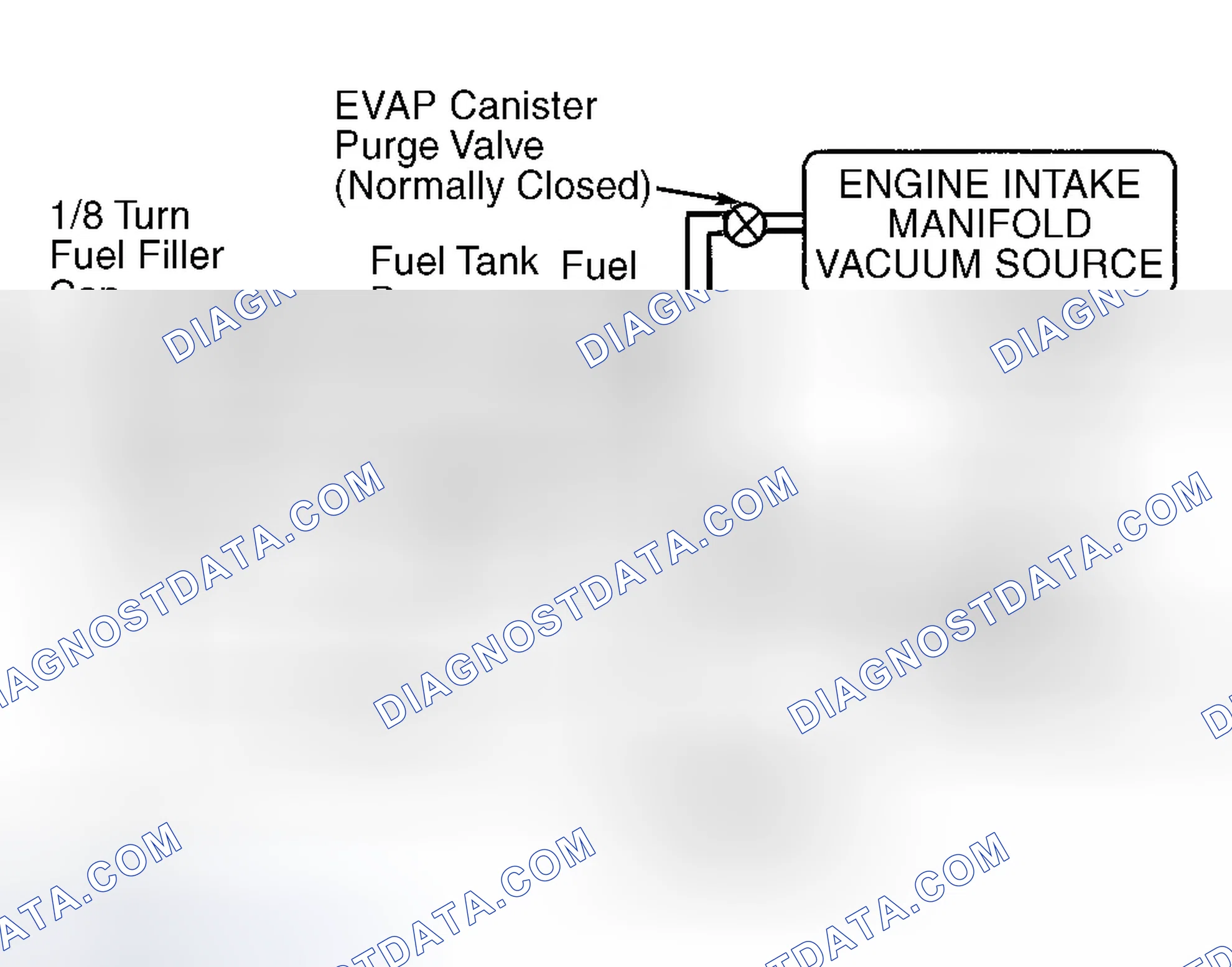Scheme 40: Identifying EVAP System Components