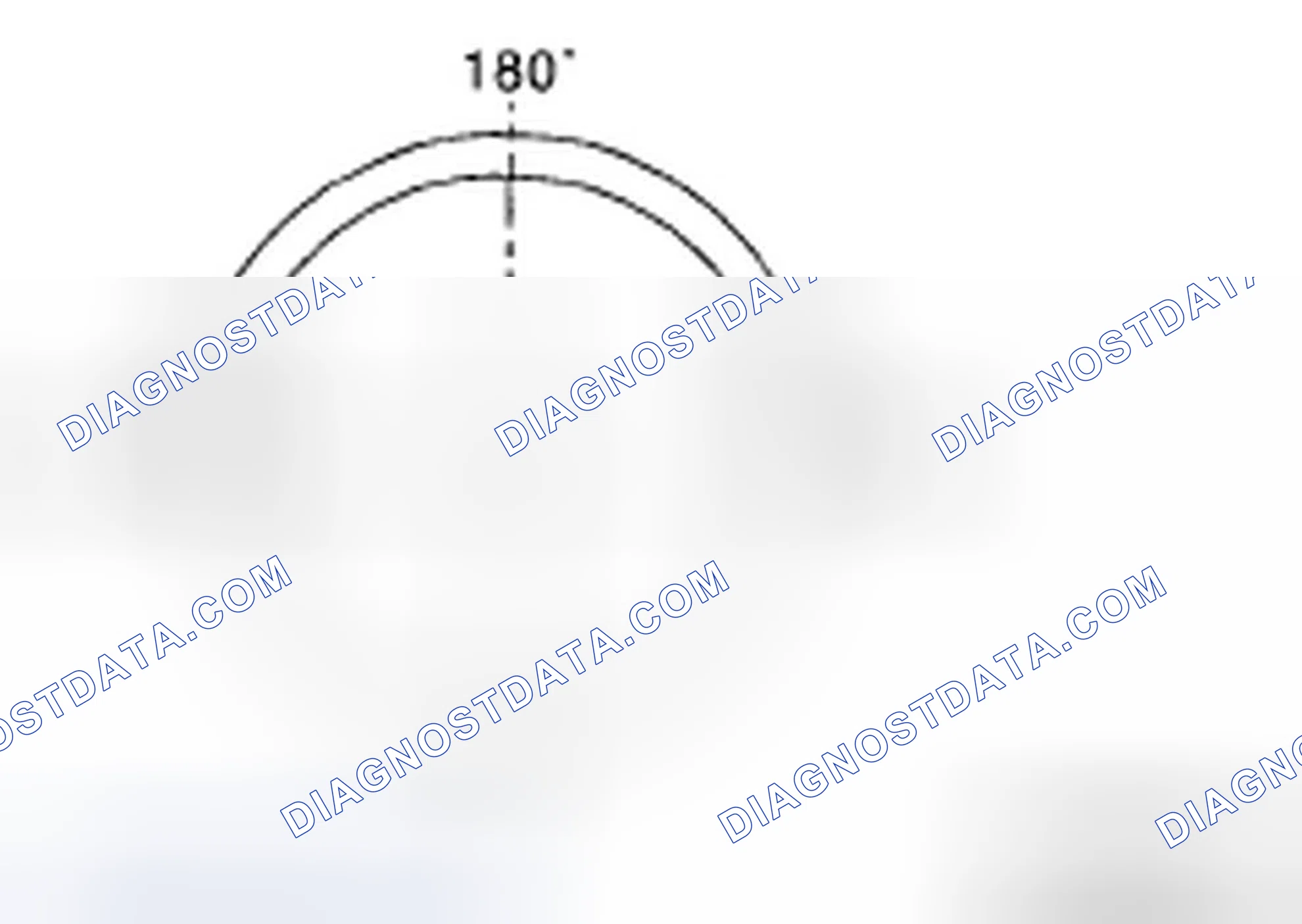 Scheme 338