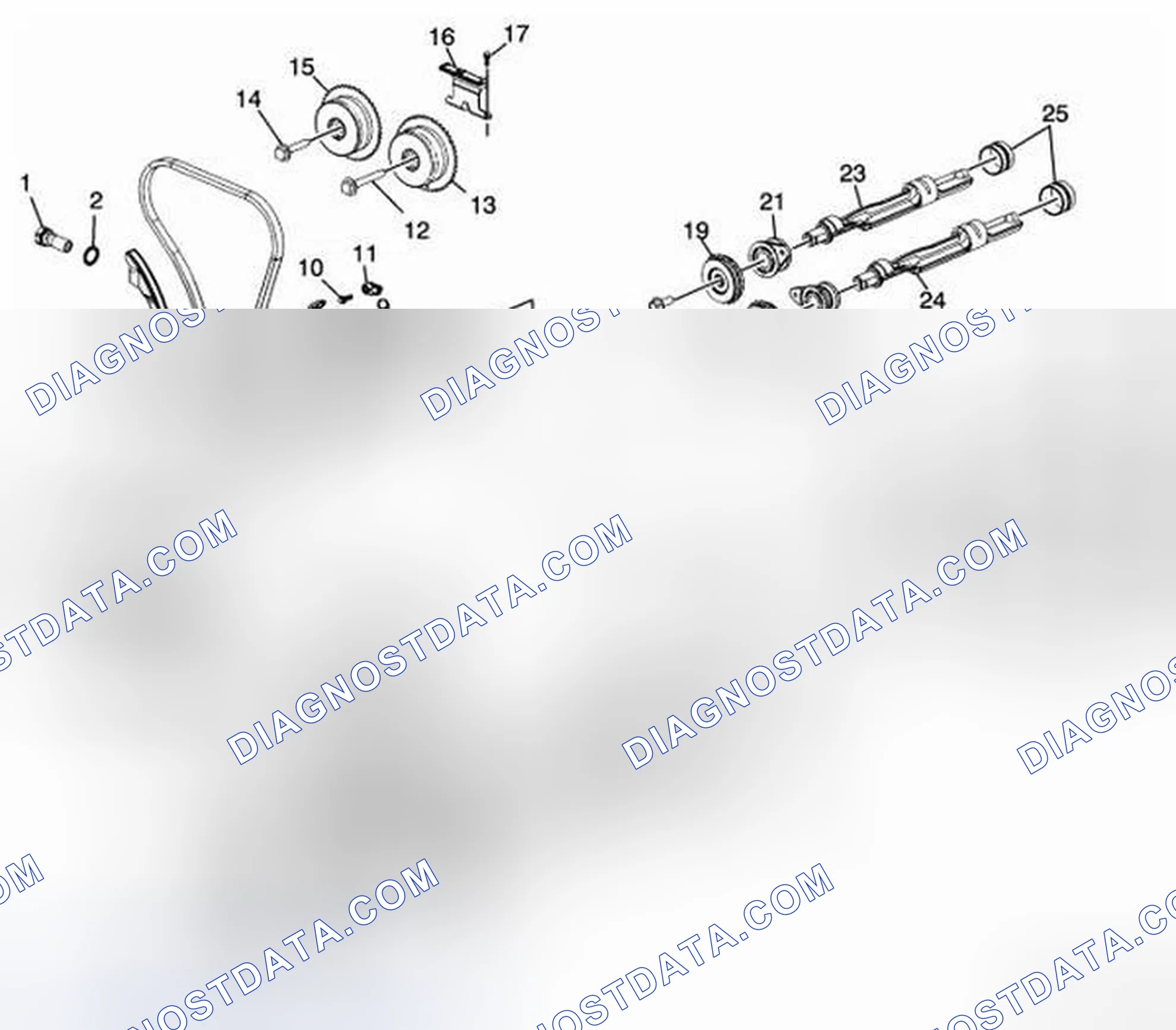 Scheme 375: Timing Chain and Components