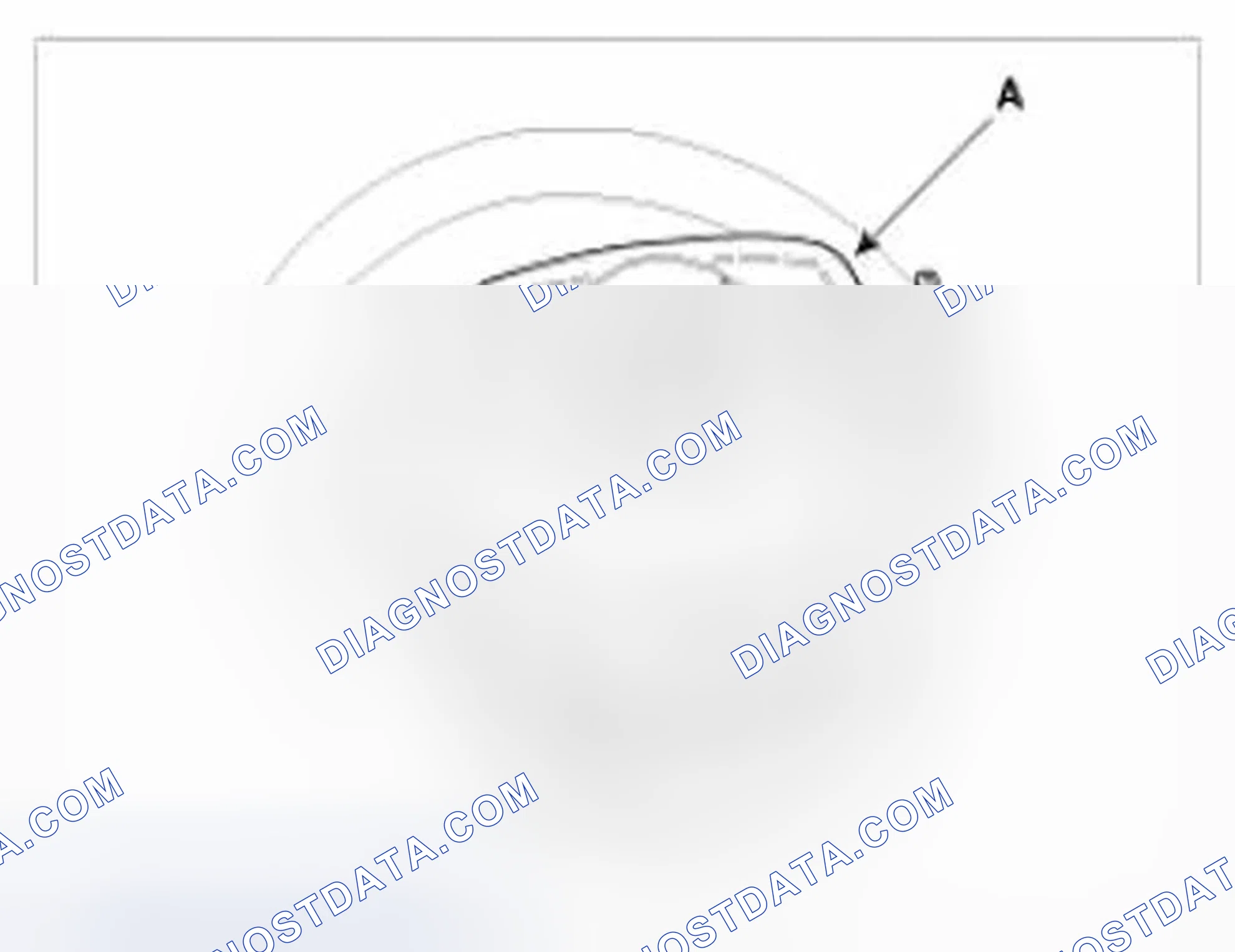 Scheme 24: Removal