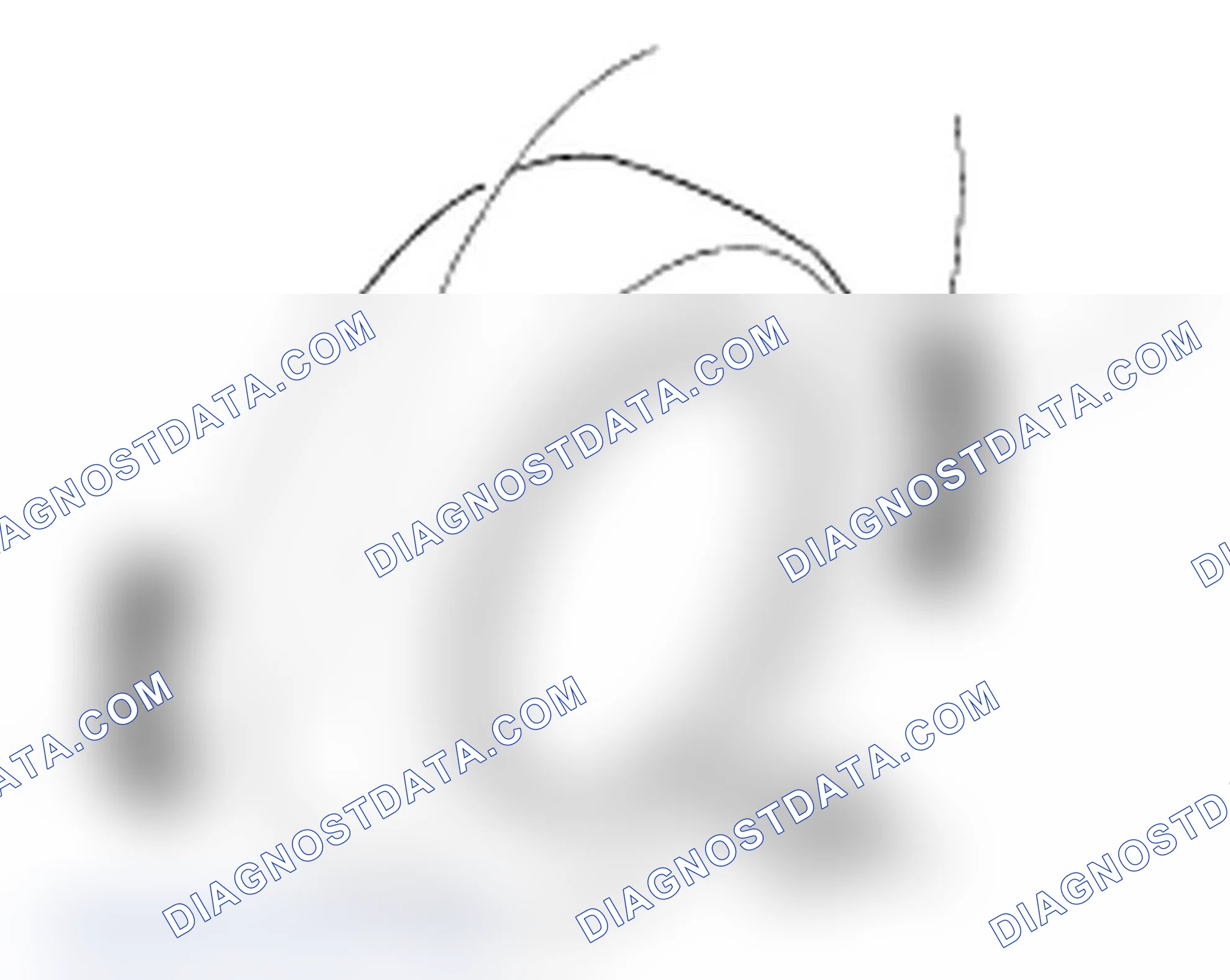 Scheme 10: Wheel Runout Inspection
