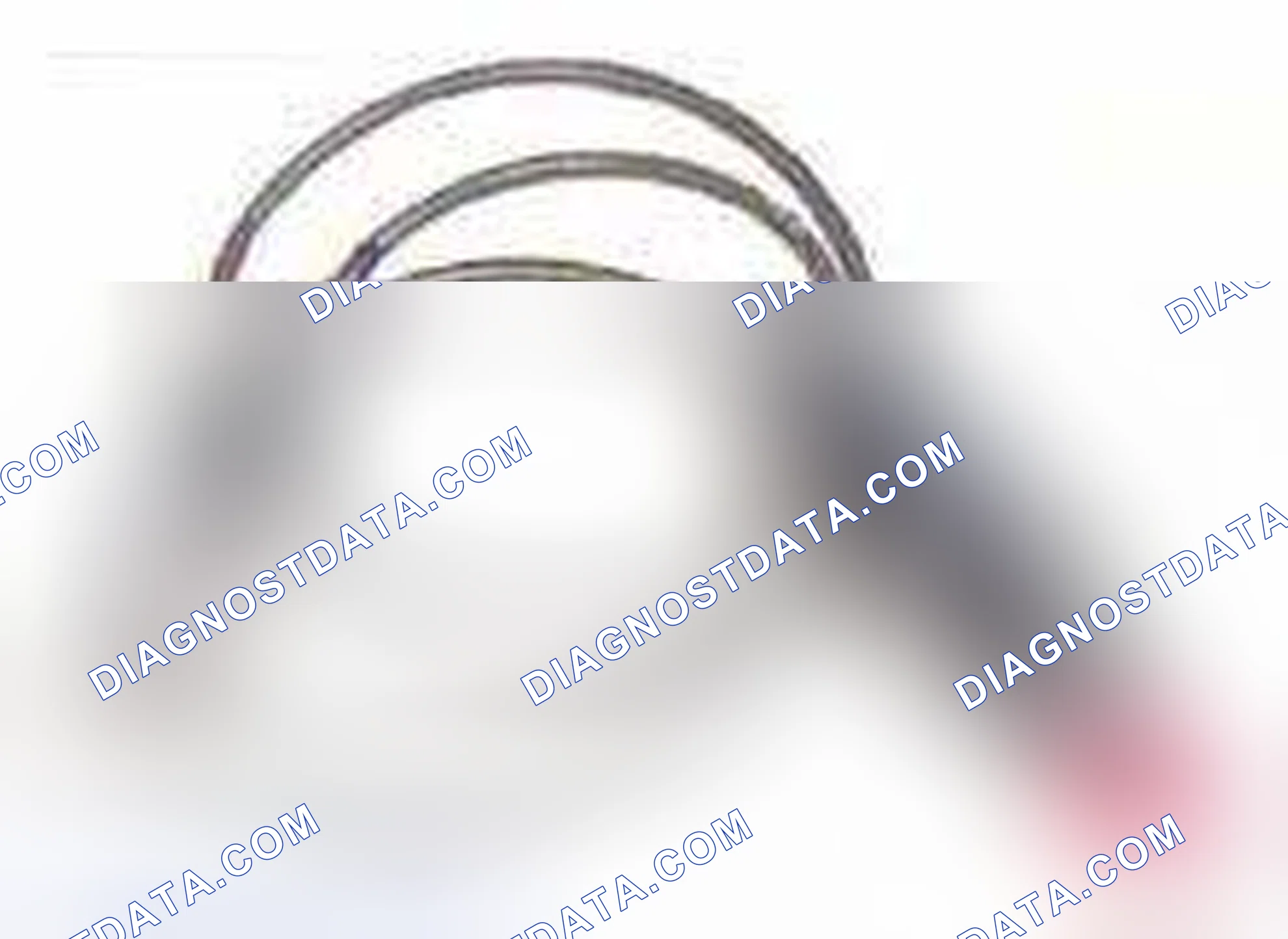Scheme 21: Vehicle Battery Adapter Cable