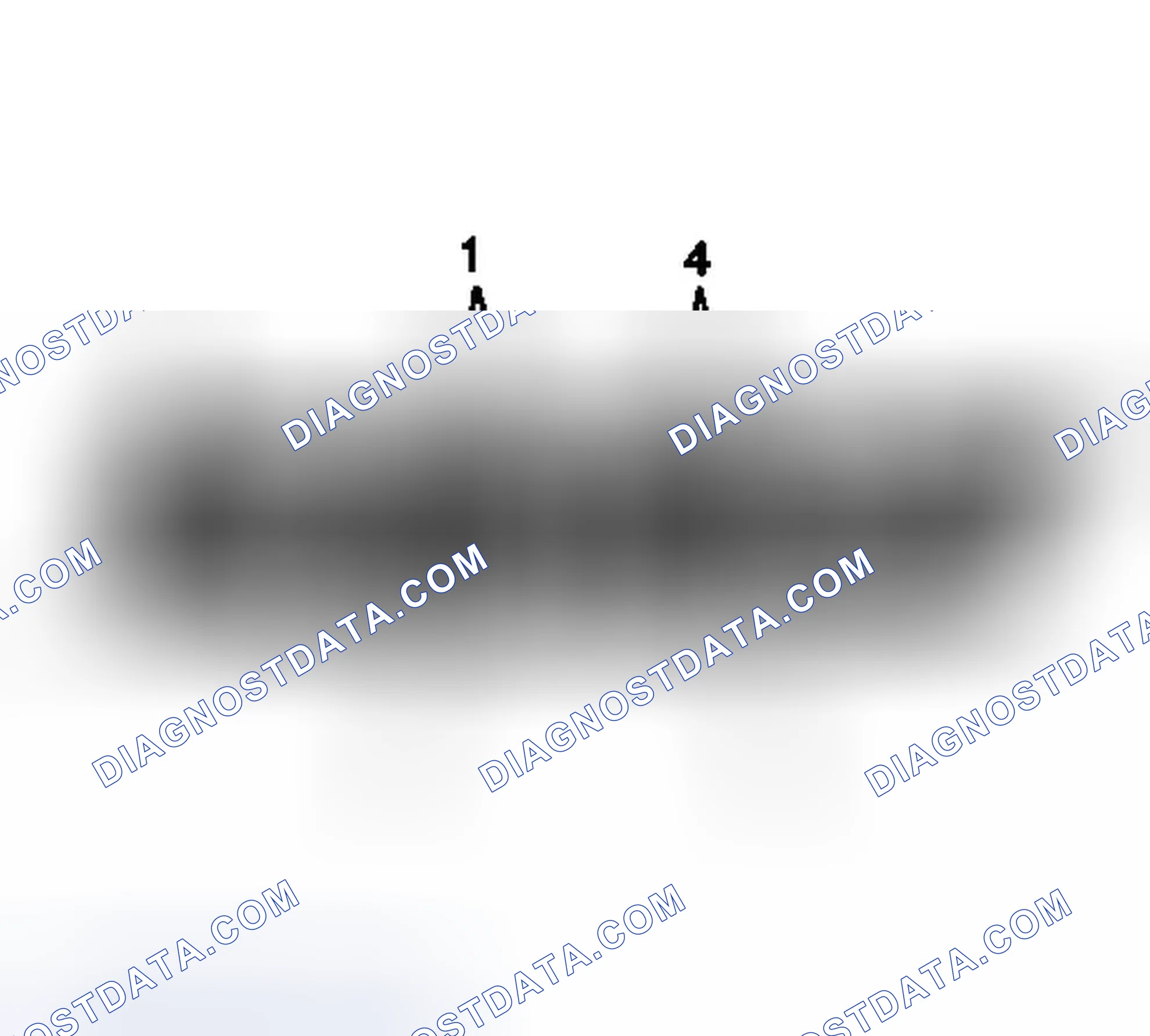 Scheme 322