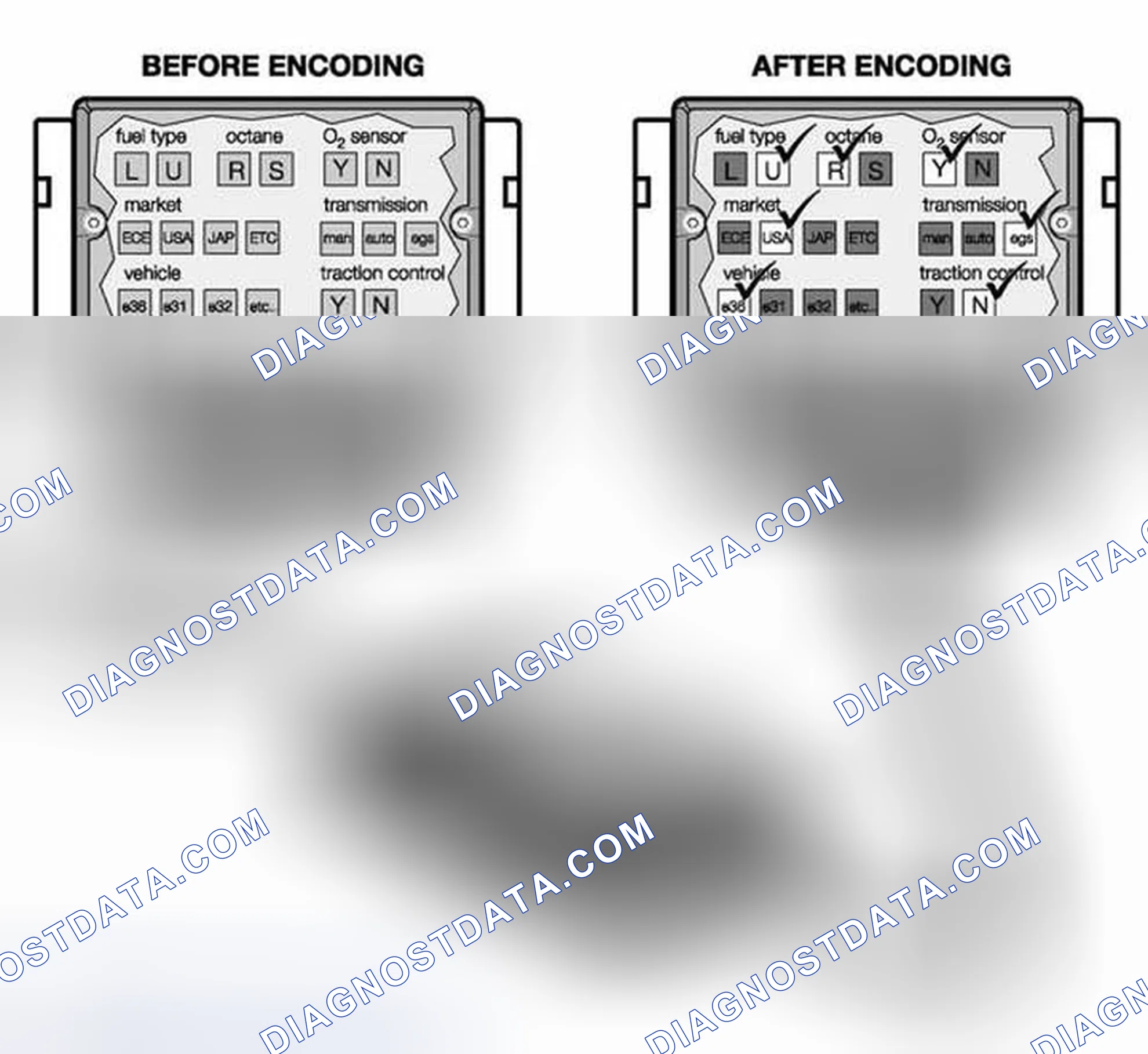 Scheme 116: Coding