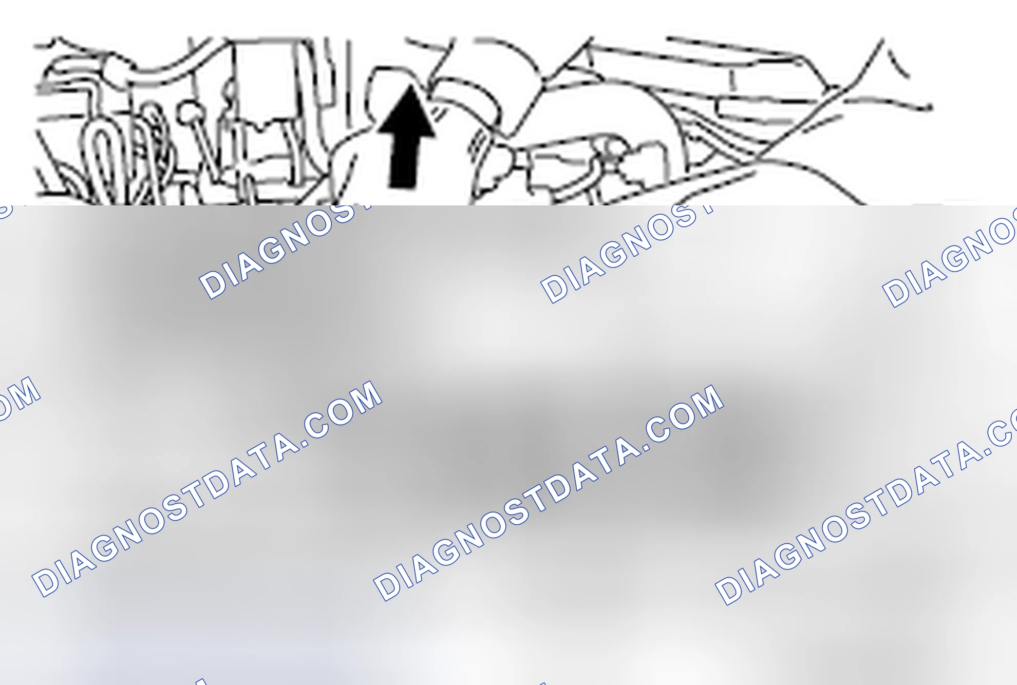 Scheme 9: F: CAMSHAFT AND CAMSHAFT SPROCKET ASSEMBLY (EXHAUST SIDE) REMOVAL