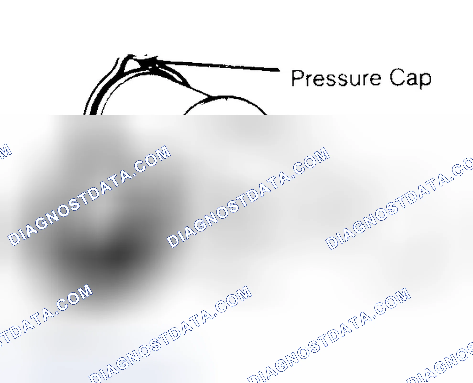 Scheme 2: Pressure Testing Radiator Cap