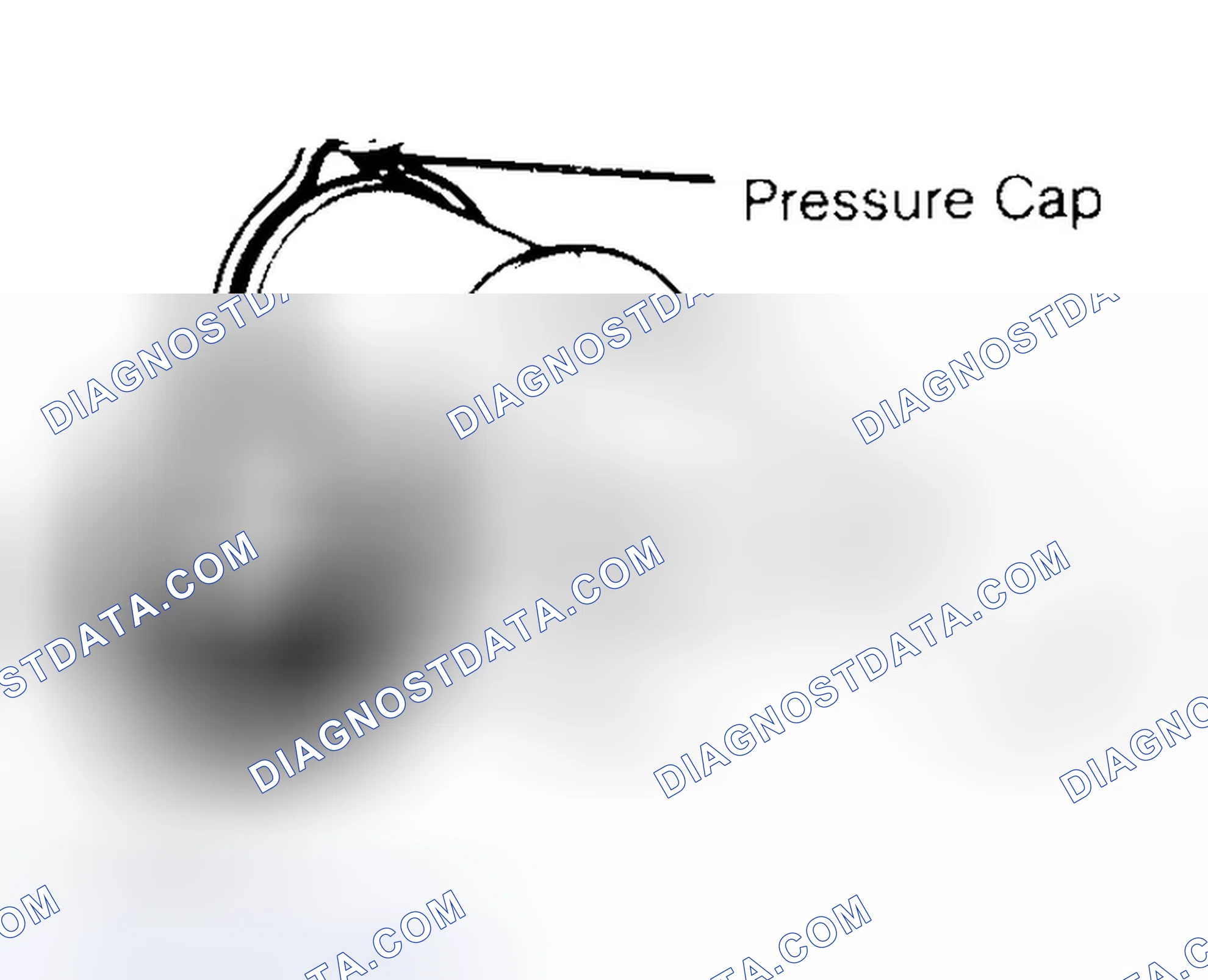 Scheme 2: Pressure Testing Radiator Cap
