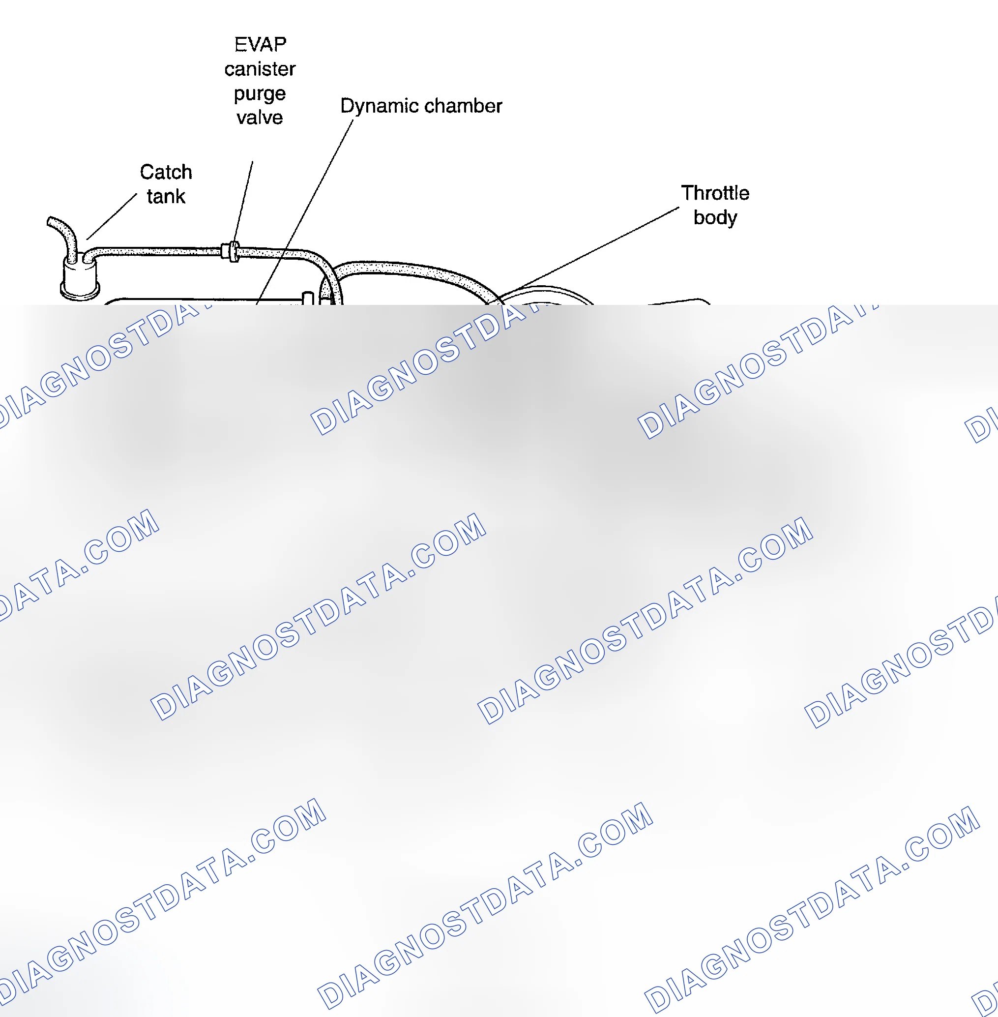 Scheme 289: VACUUM HOSE ROUTING