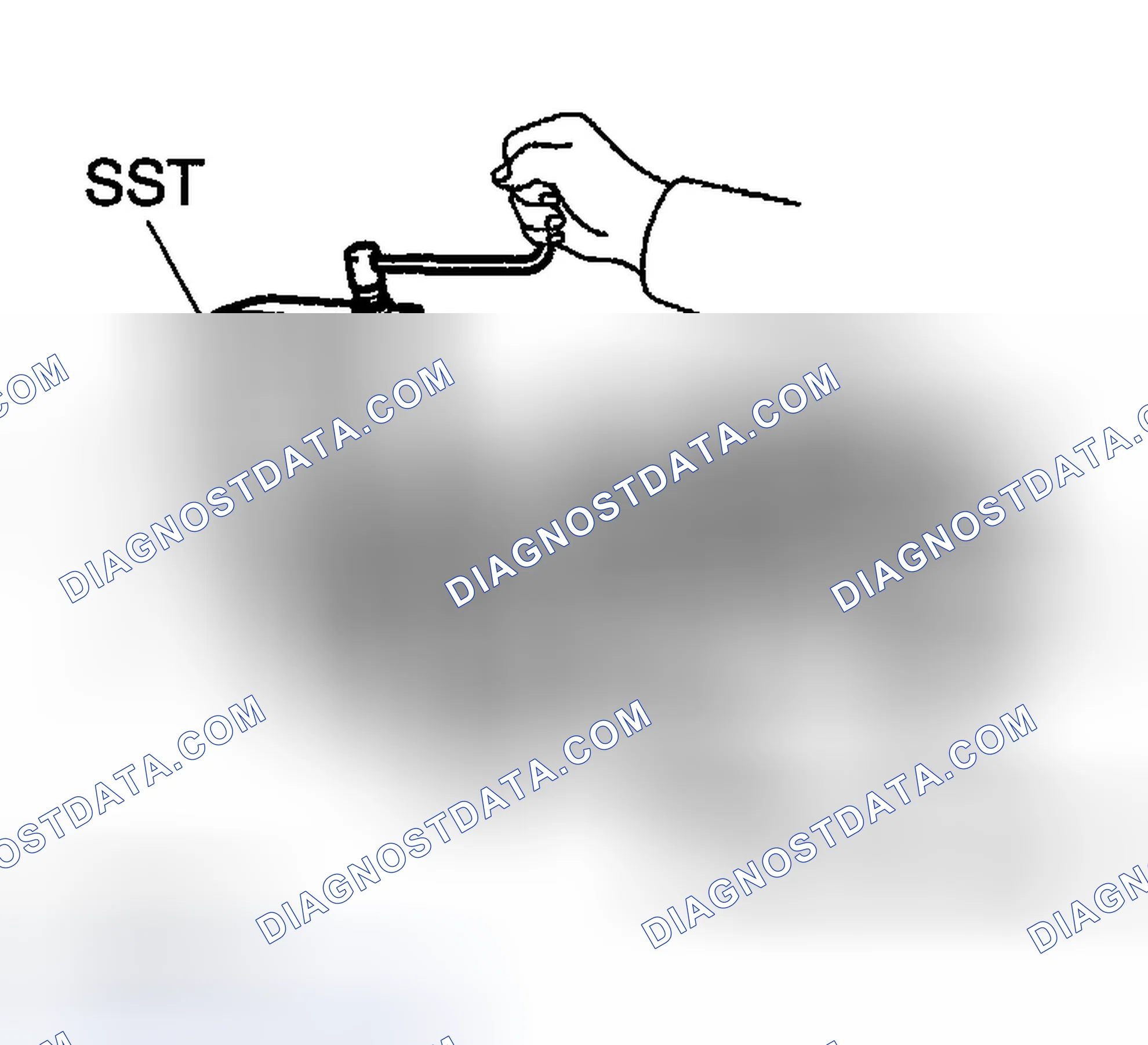 Scheme 309