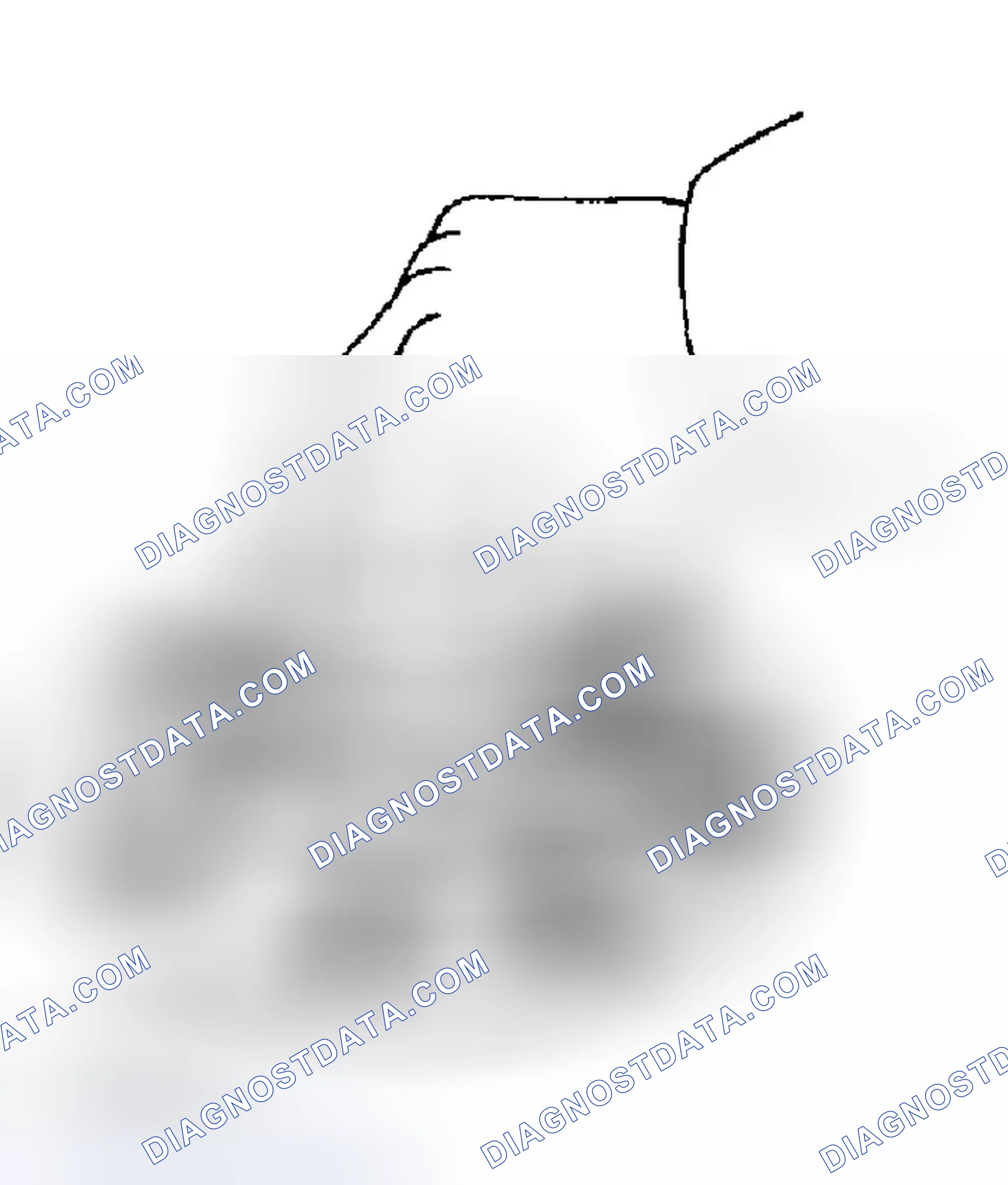 Scheme 85: INSPECTION PROCEDURE