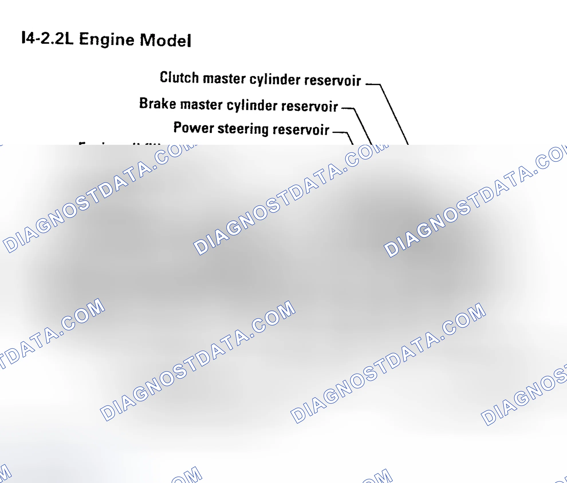Scheme 5