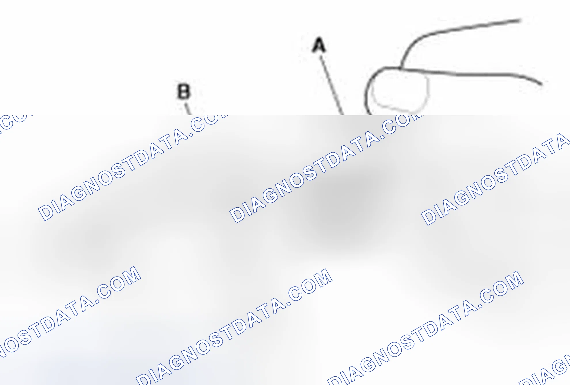 Scheme 227: Inspection
