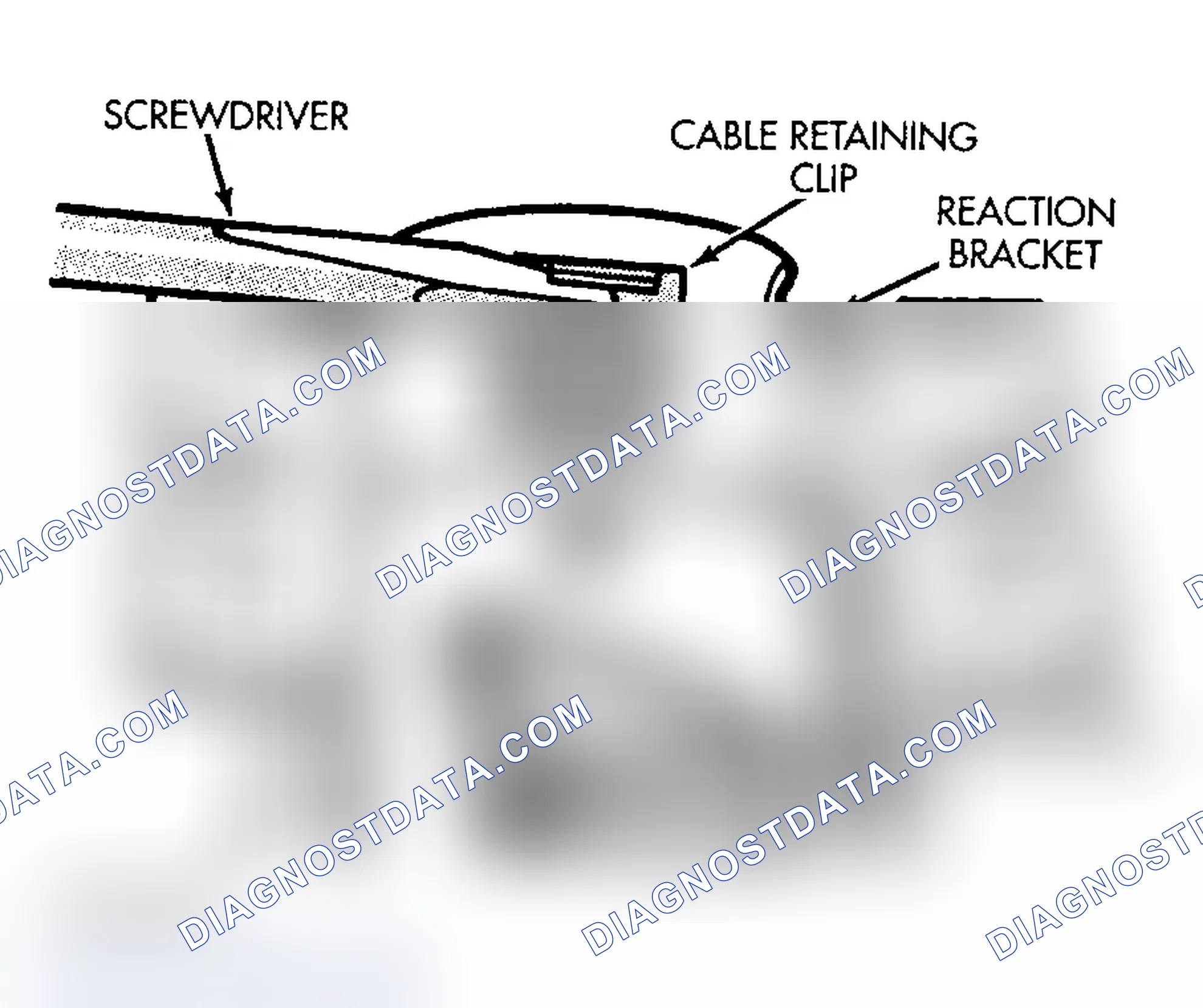Scheme 5