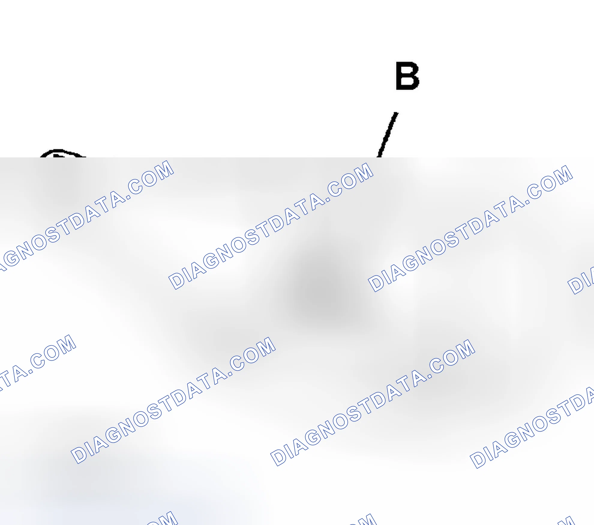 Scheme 5