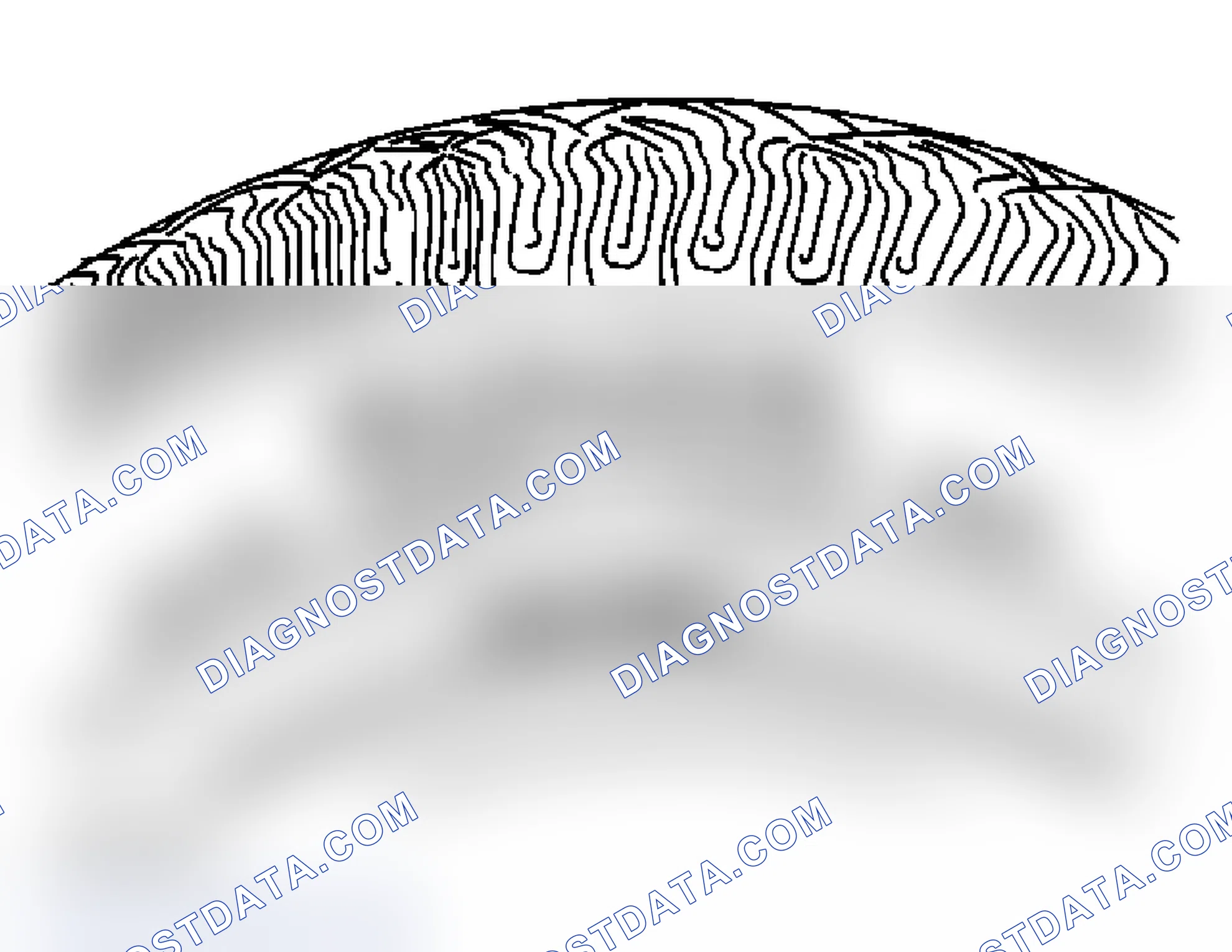 Scheme 25: Tire and Wheel Inspection