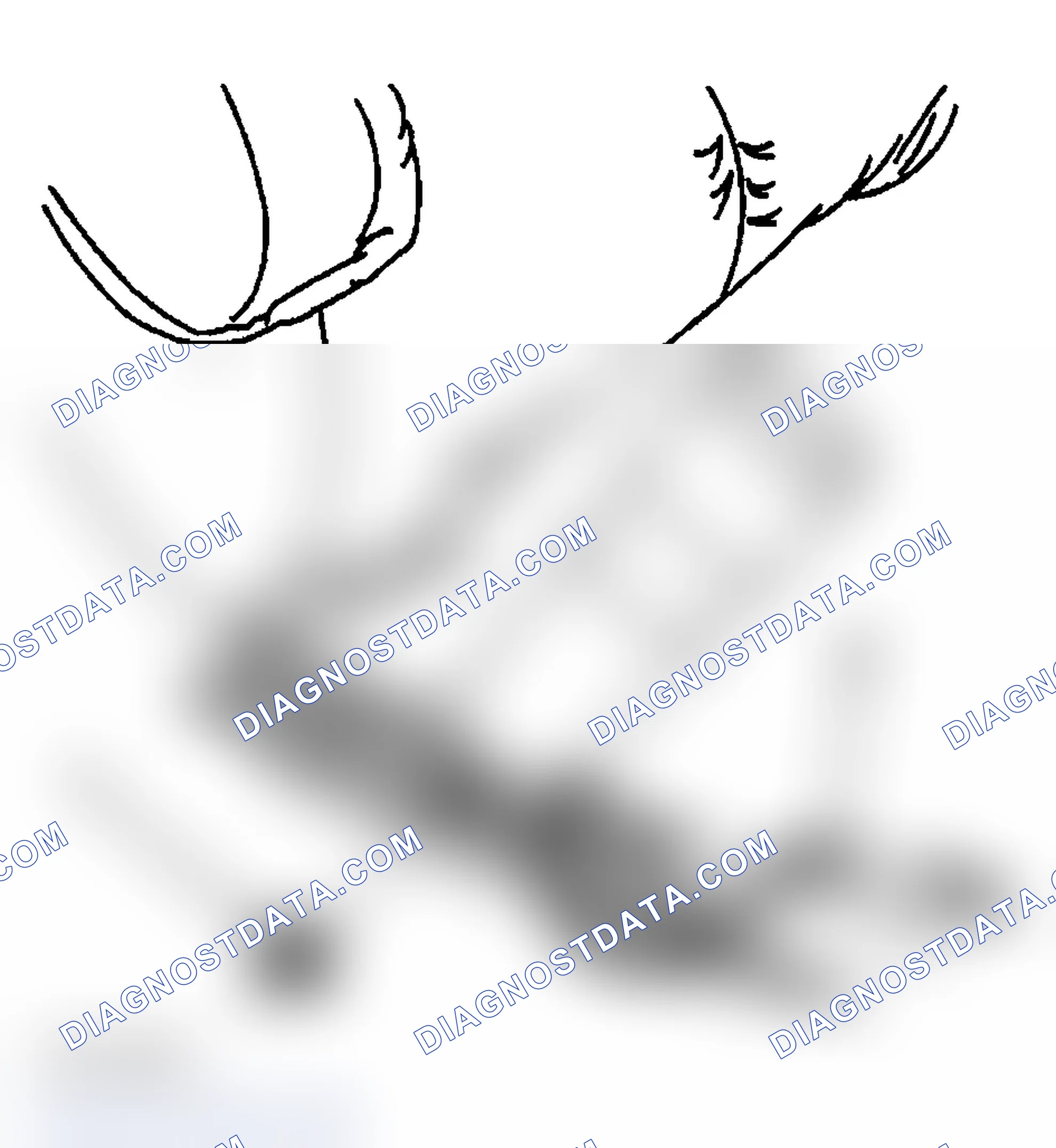 Scheme 202: Removal Procedure