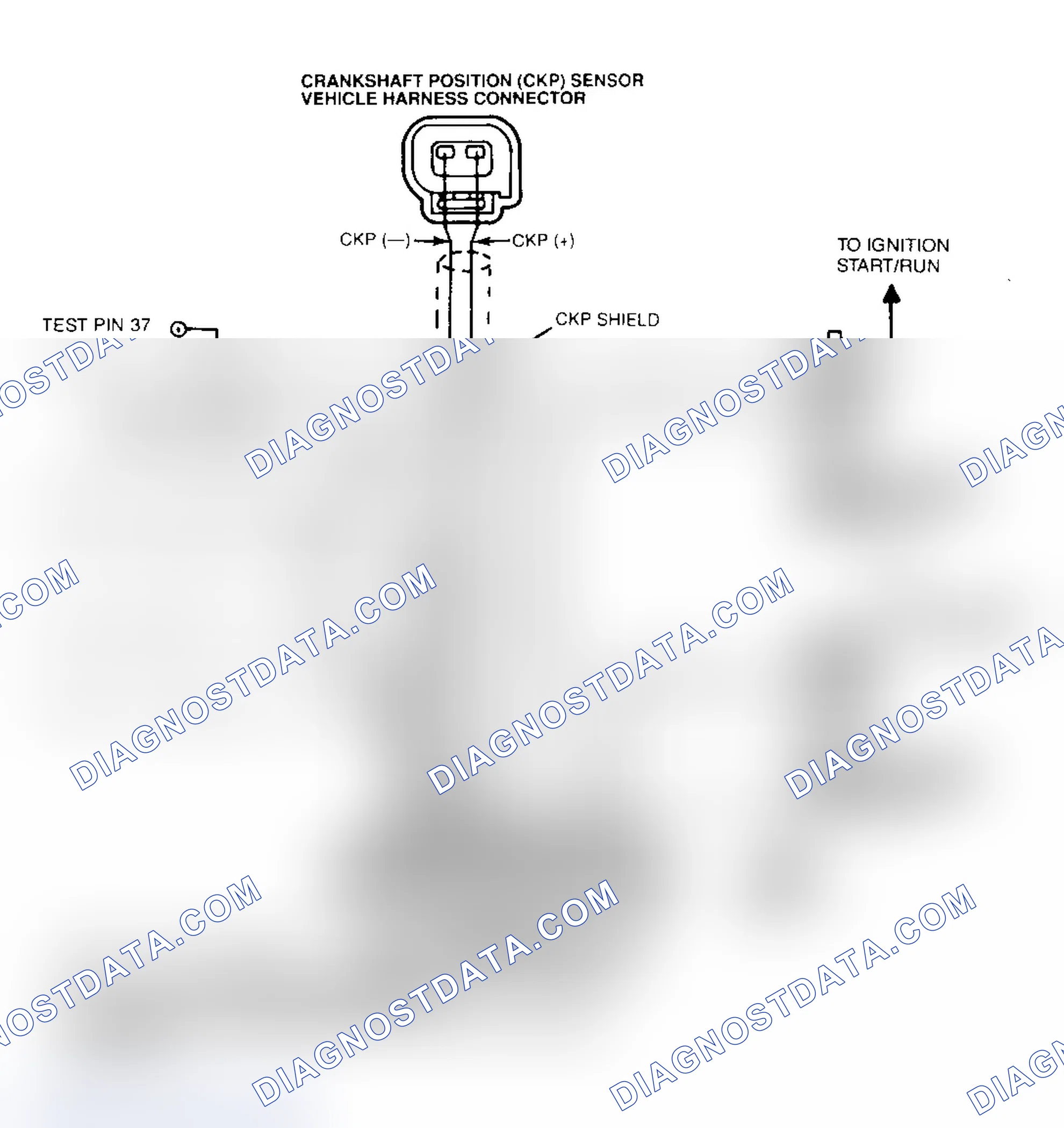 Scheme 21: Ignition System Wiring Diagram (4.6L)