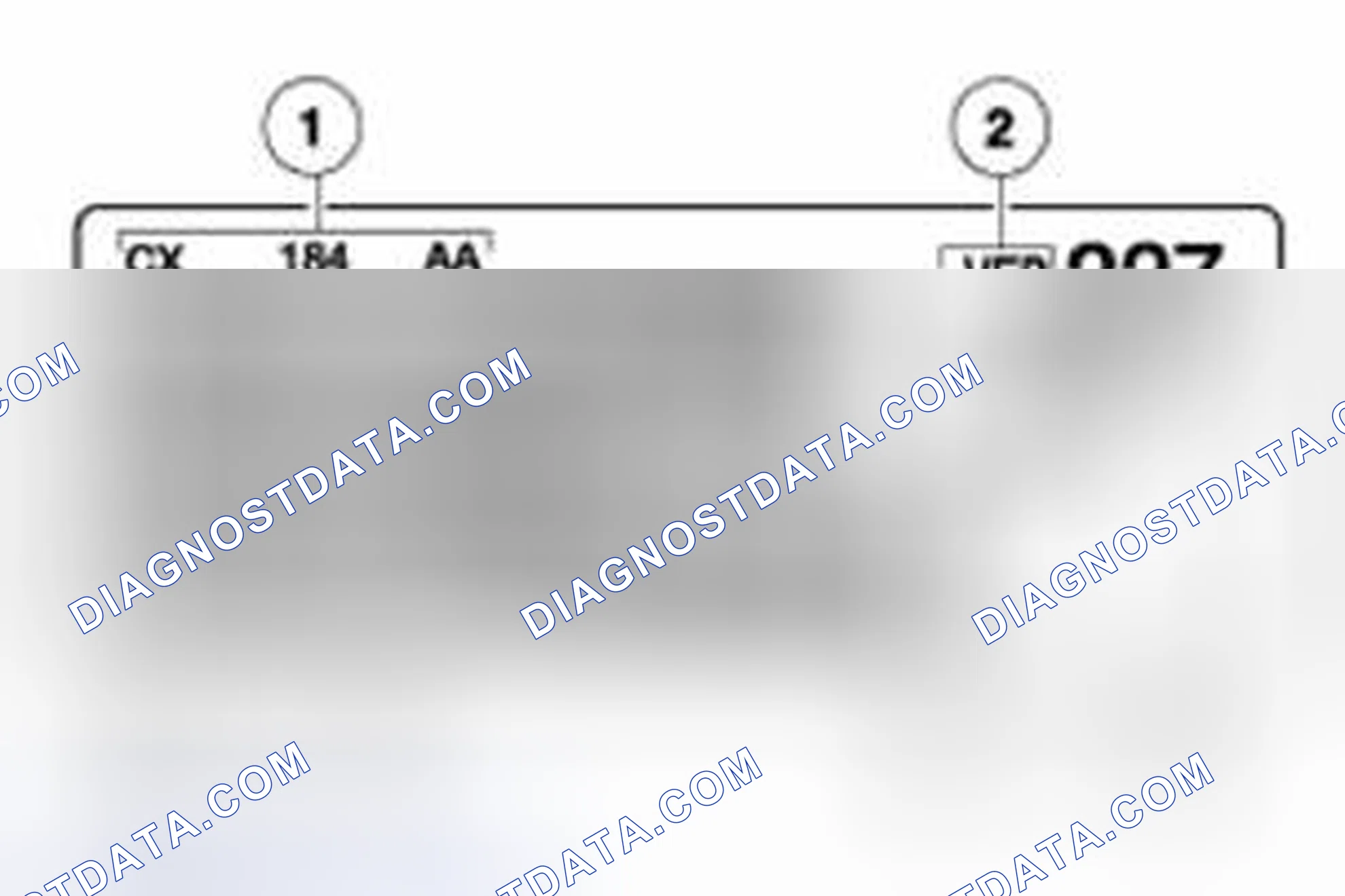 Scheme 528: Engine Code Information Label