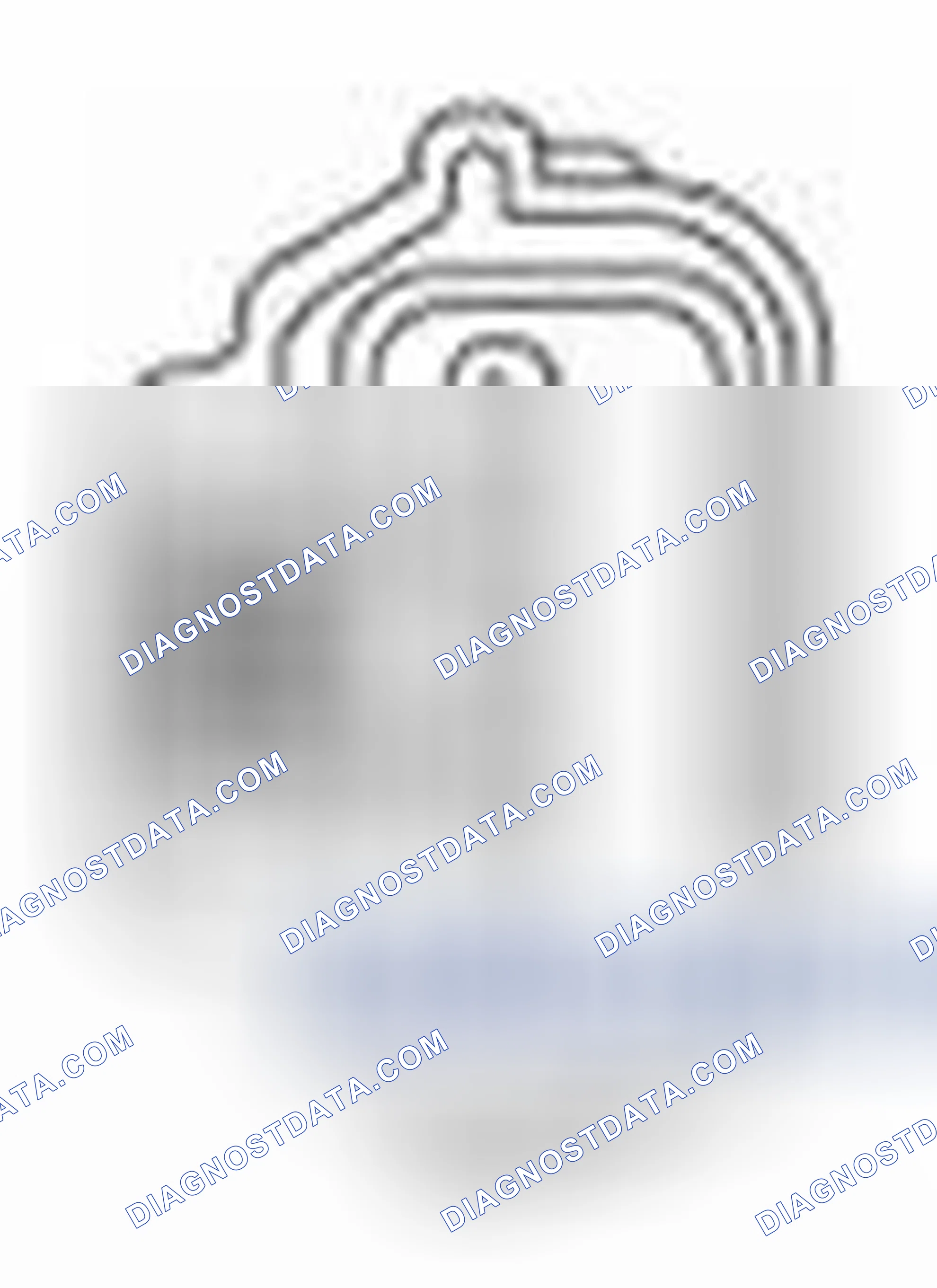 Scheme 18: Pinpoint Test