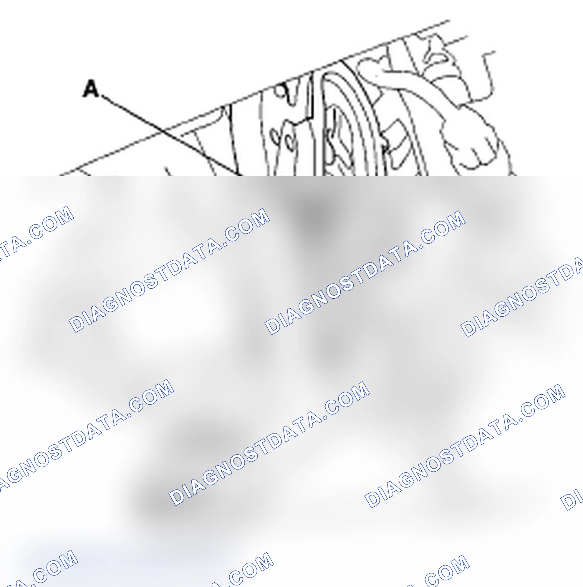 Scheme 9: Minor Adjustment