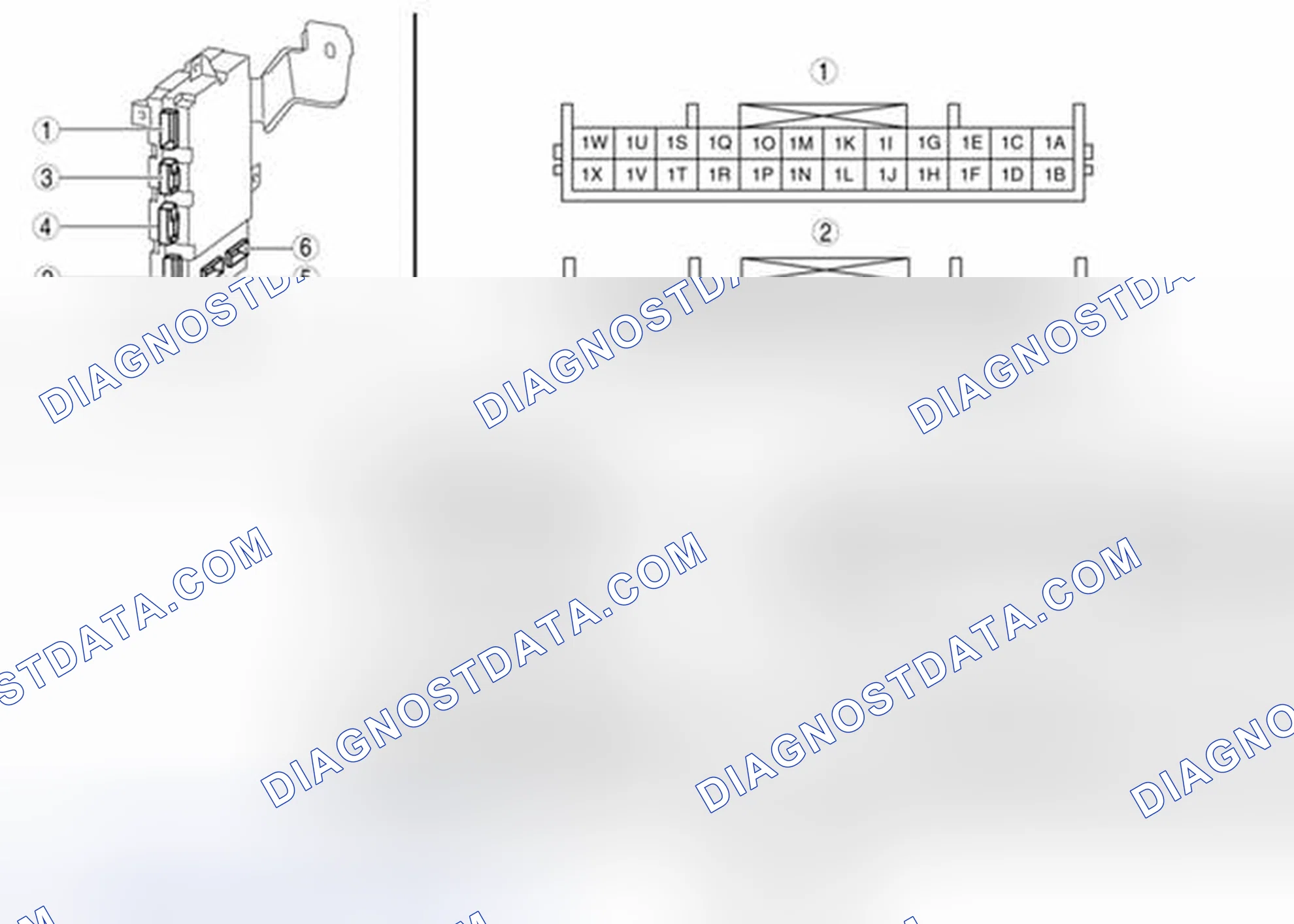 Scheme 78: Identifying BCM Connector Terminals